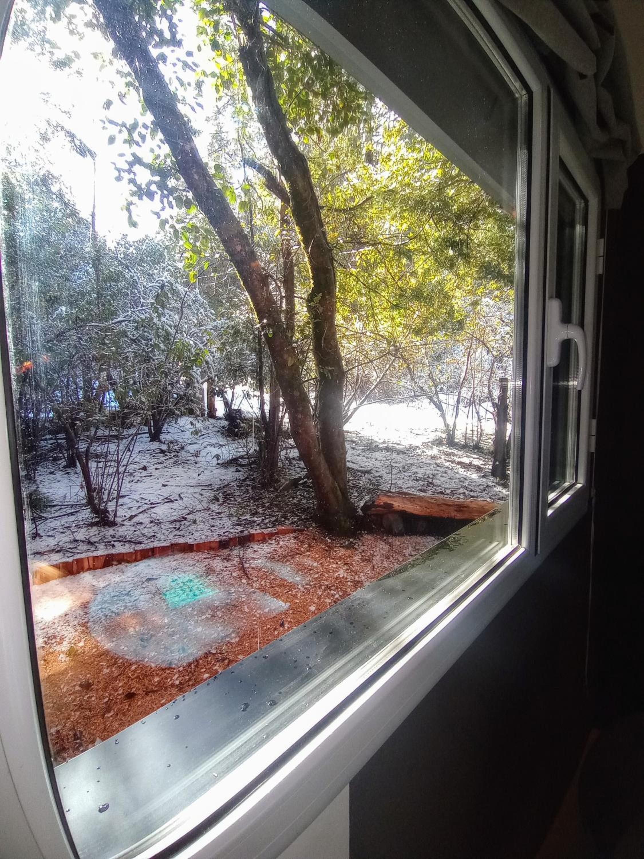 Casa en el Bosque Home Office