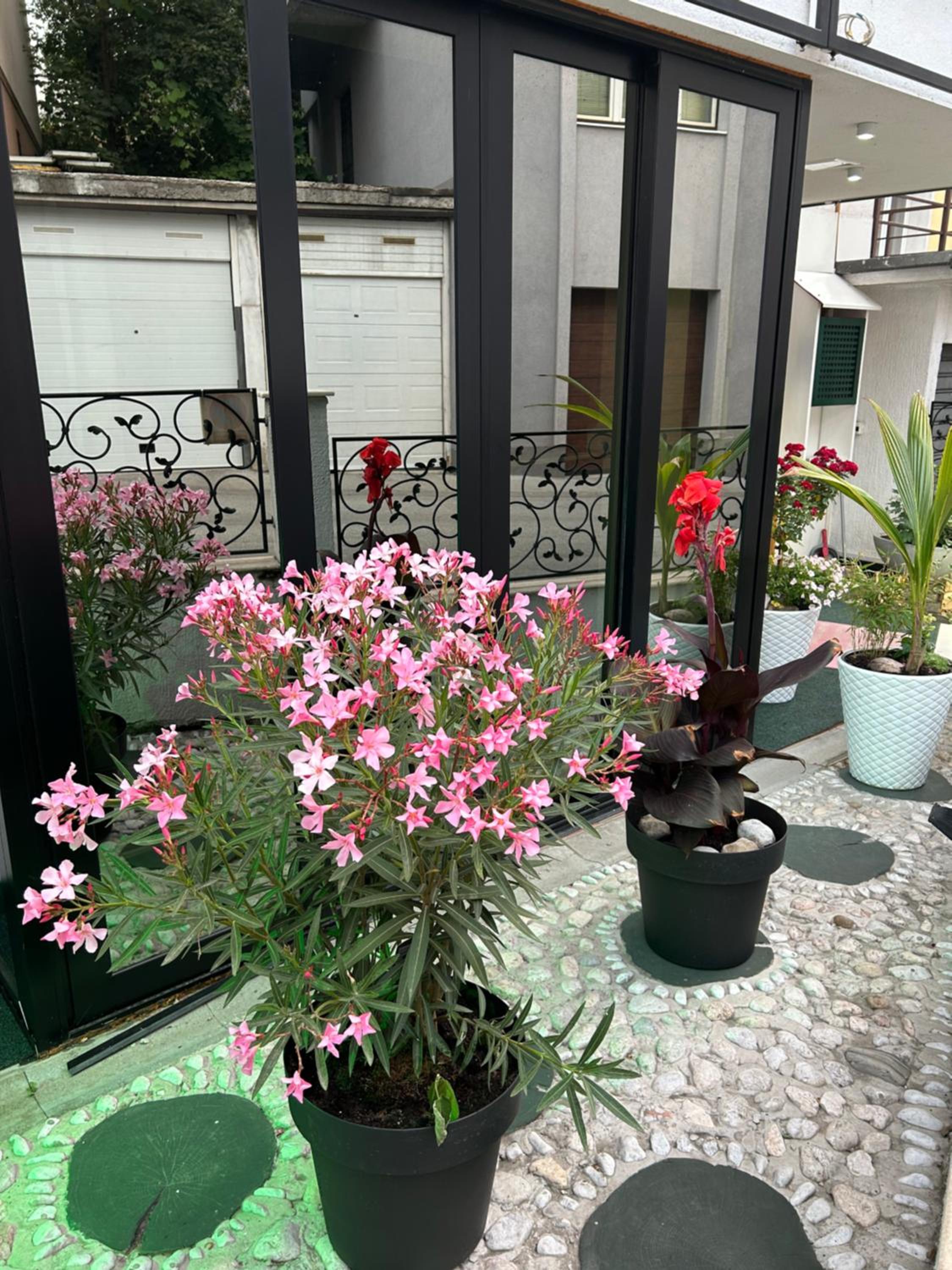 Halvat Guesthouse
