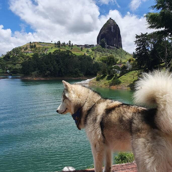Hermosa cabaña frente al lago y la piedra 4
