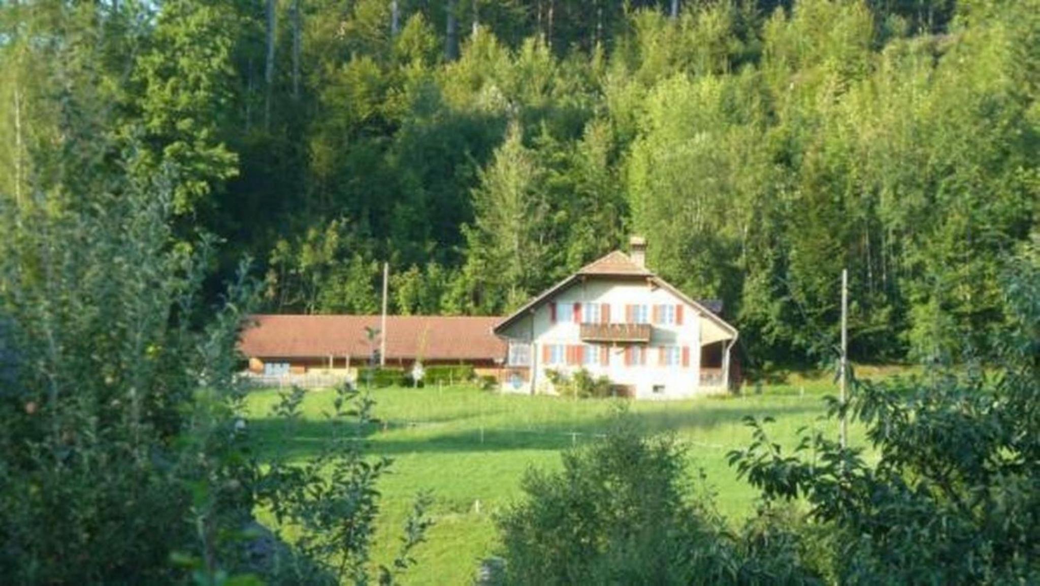 Ferienwohnung Südhang Rüschegg