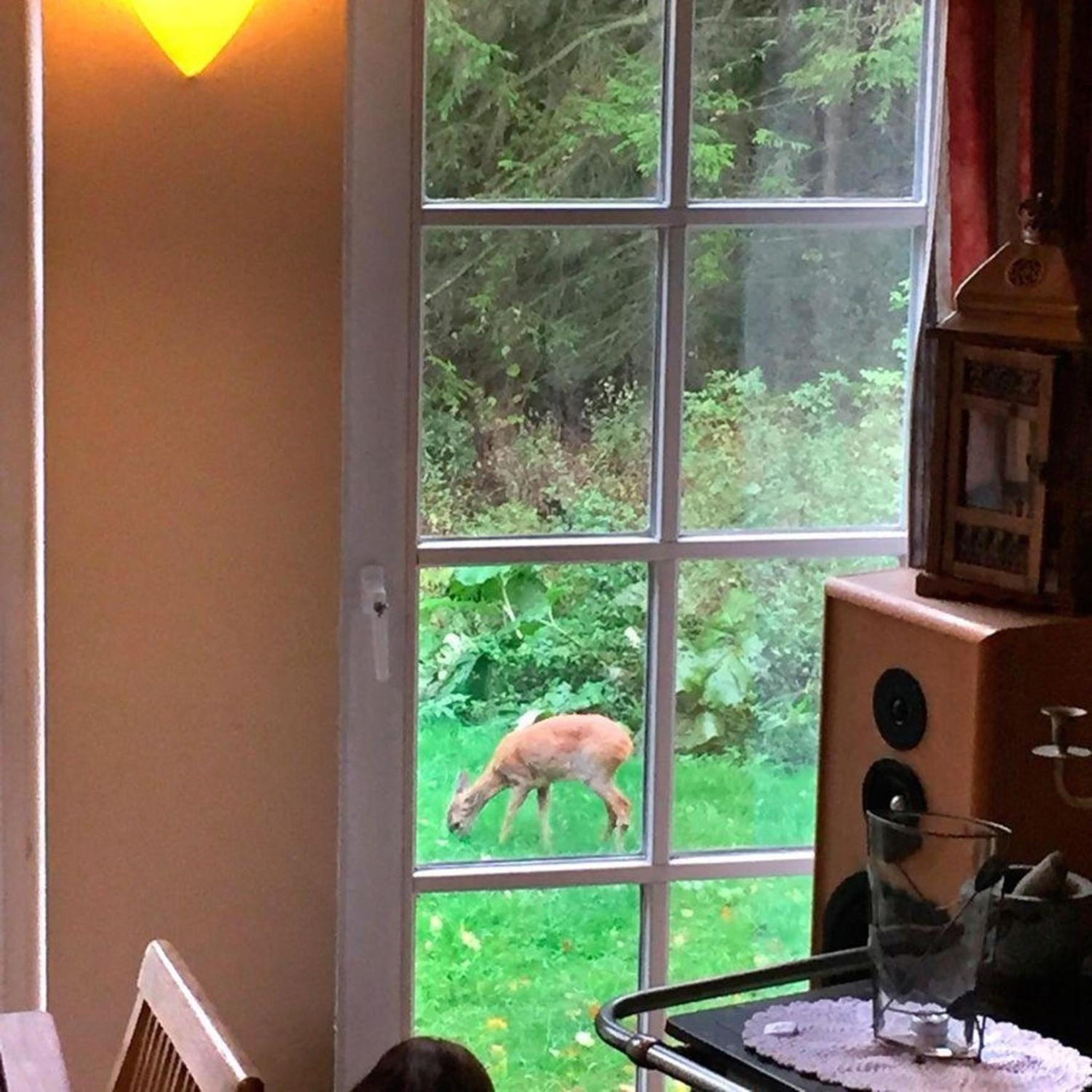 Ferienhaus für 7 Personen und 1 Kind in Blankenheim, Eifel