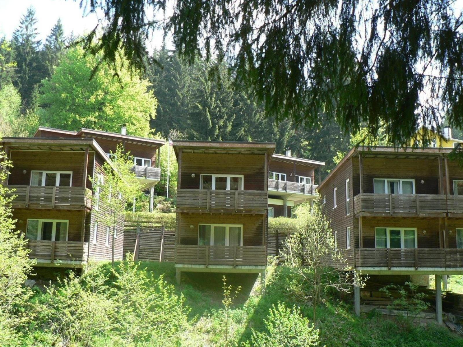 Ferienhaus für 6 Personen ca 96 m in Großbreitenbach, Thüringen Thüringer Wald