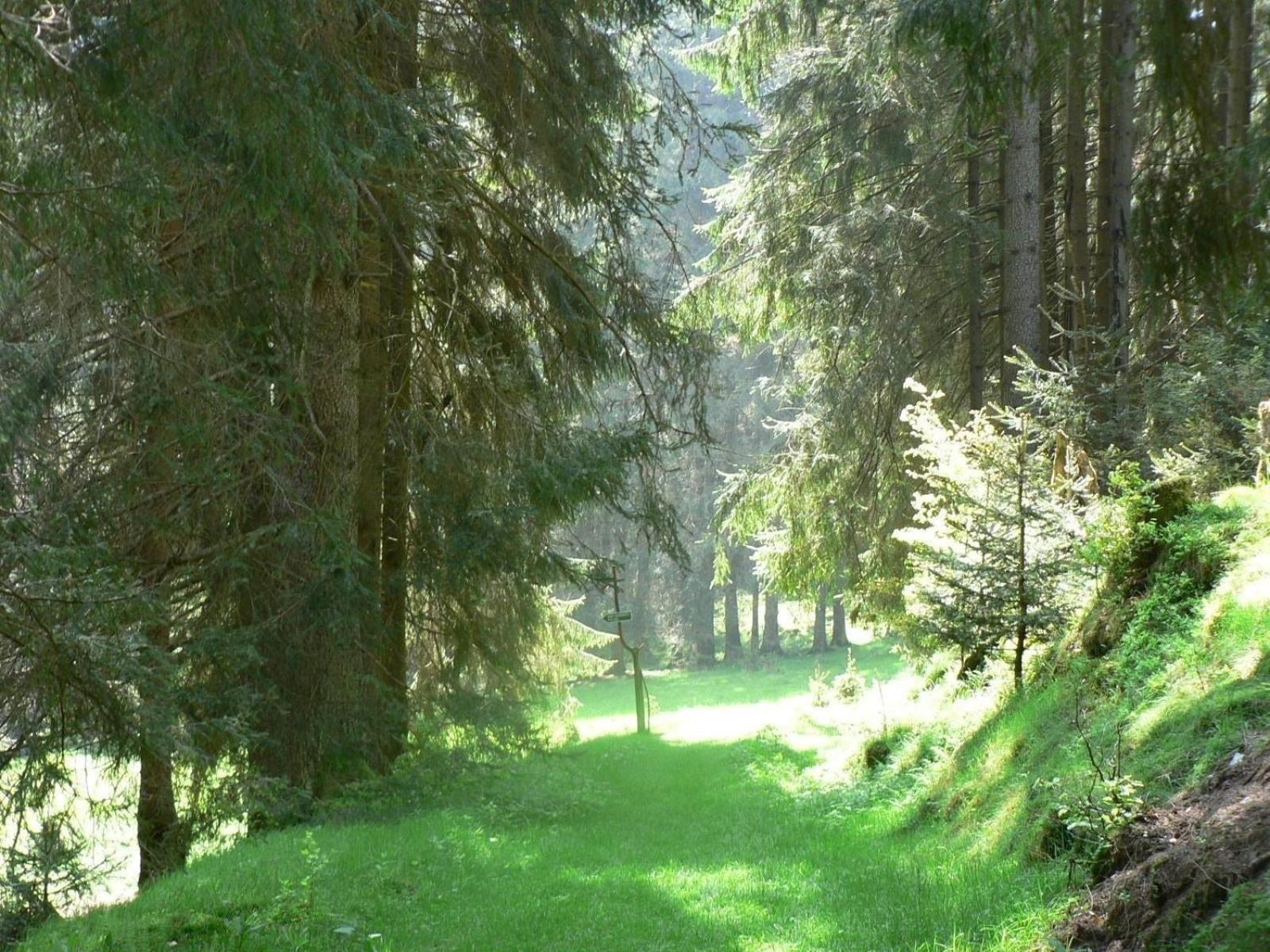 Ferienhaus für 6 Personen ca 96 m in Großbreitenbach, Thüringen Thüringer Wald