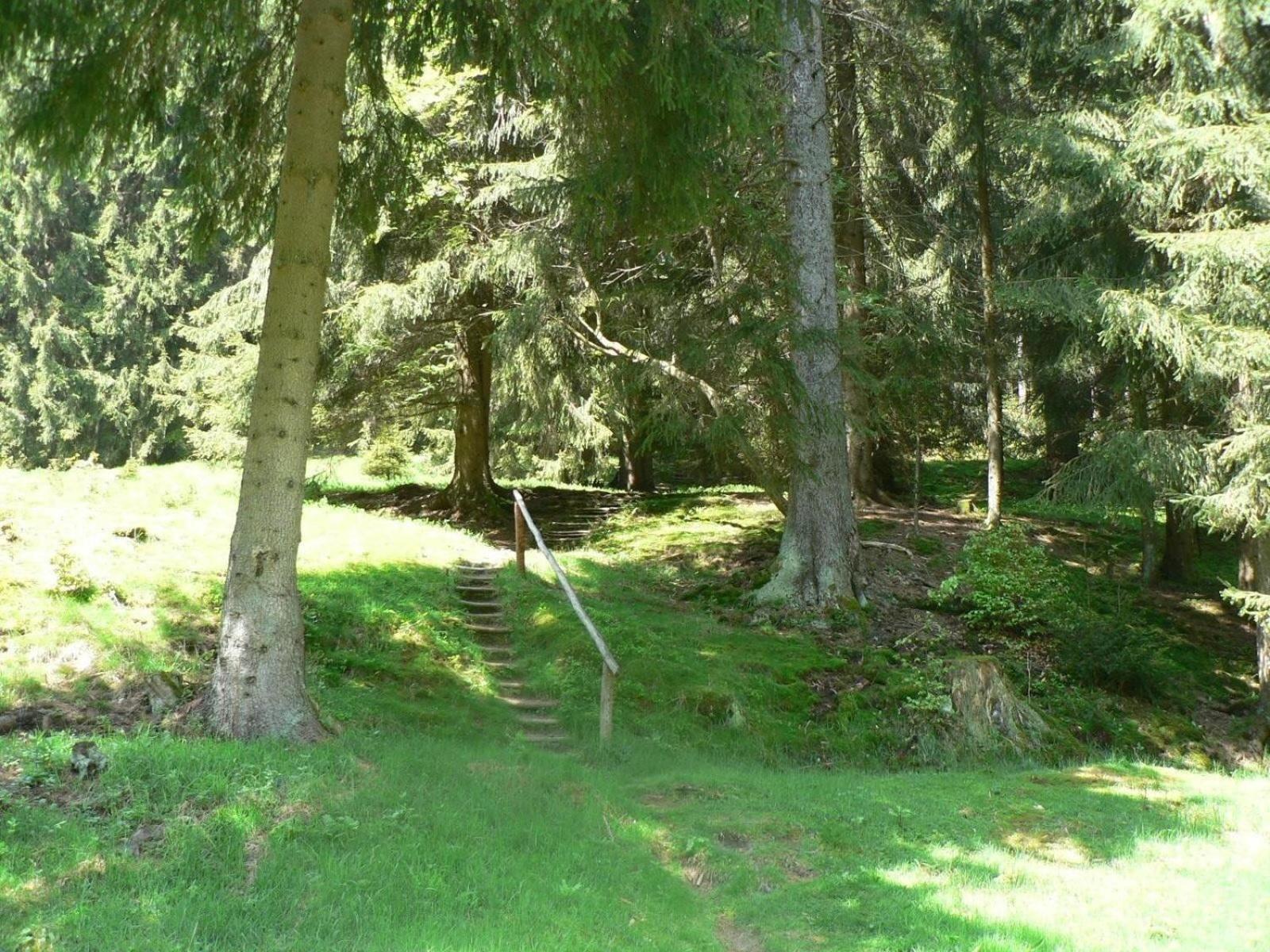 Ferienhaus für 6 Personen ca 96 m in Großbreitenbach, Thüringen Thüringer Wald