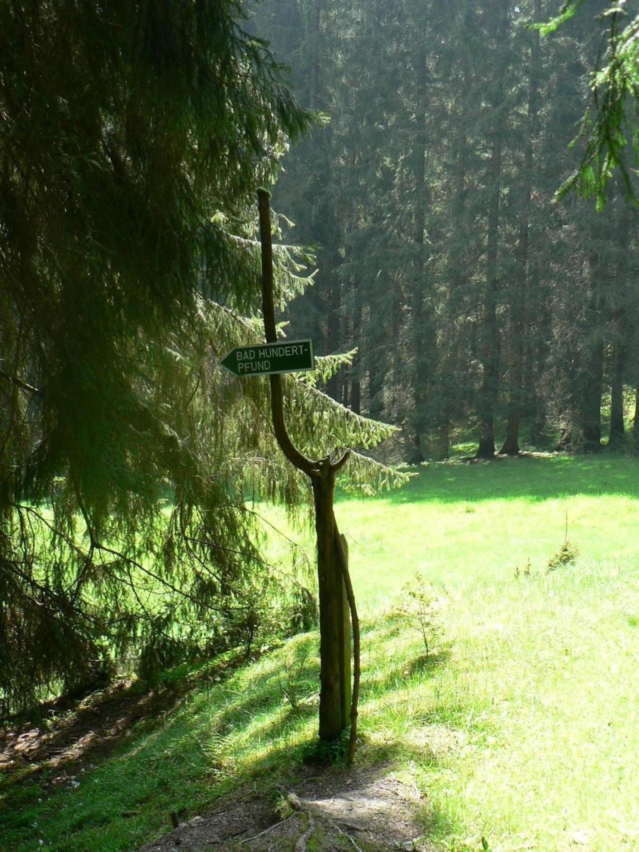 Ferienhaus für 6 Personen ca 96 m in Großbreitenbach, Thüringen Thüringer Wald