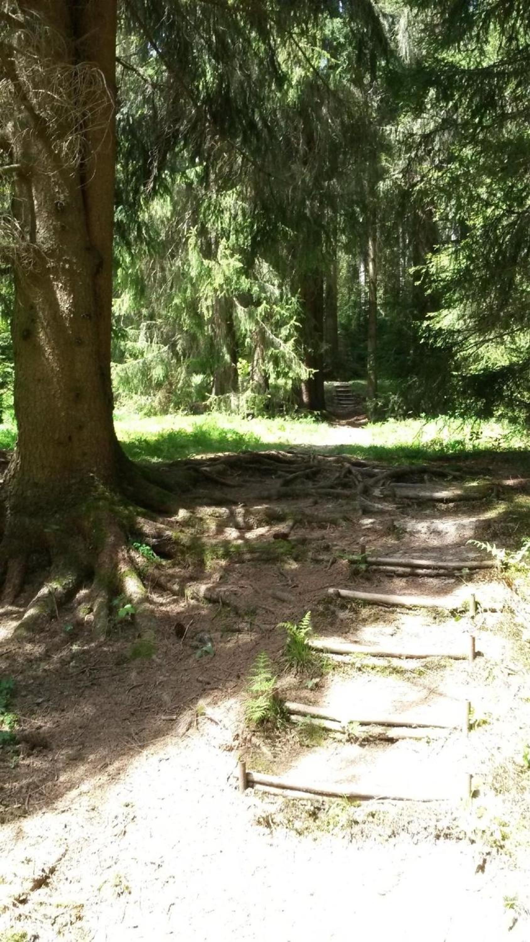 Ferienhaus für 6 Personen ca 96 m in Großbreitenbach, Thüringen Thüringer Wald