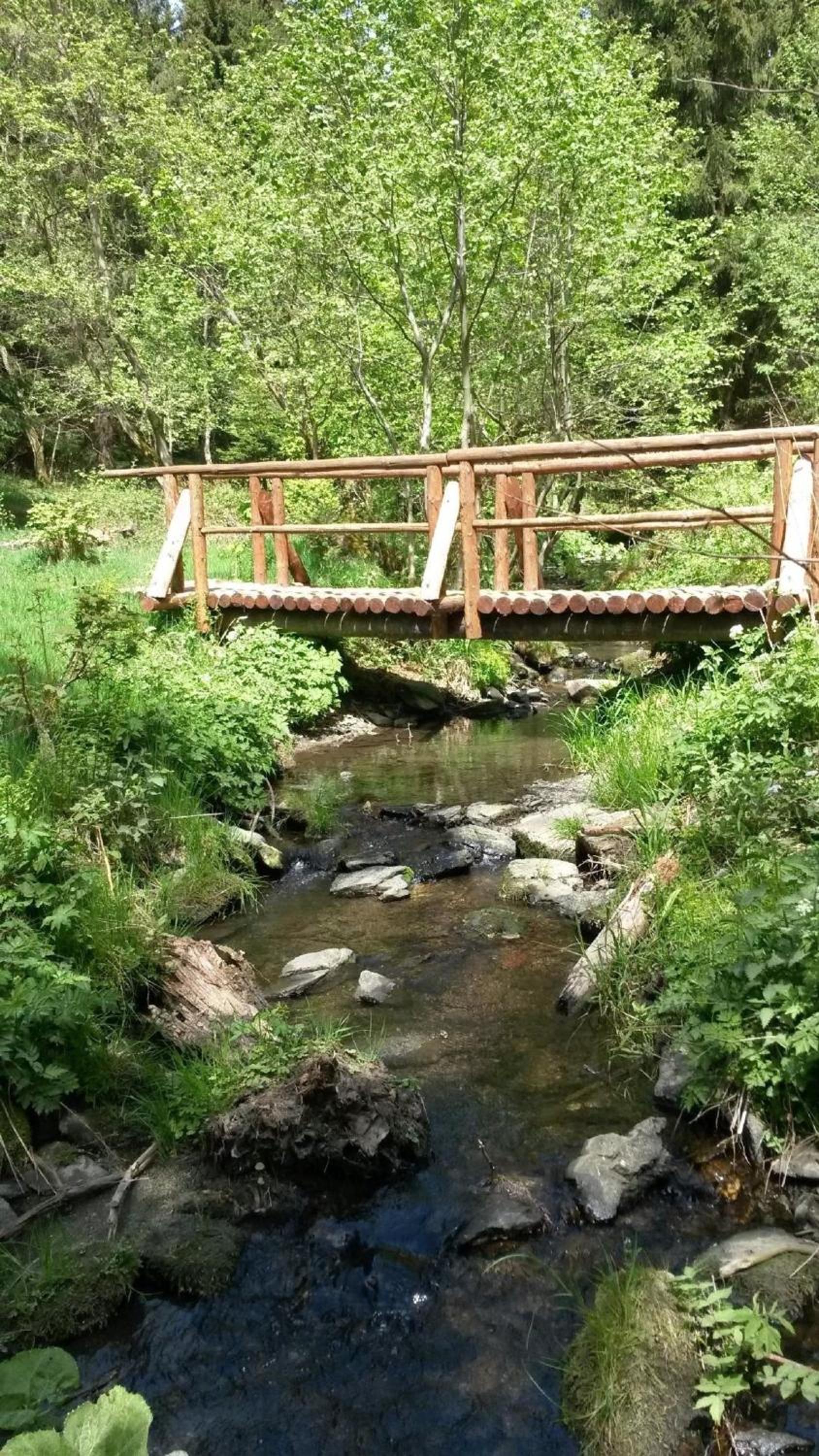 Ferienhaus für 6 Personen ca 96 m in Großbreitenbach, Thüringen Thüringer Wald