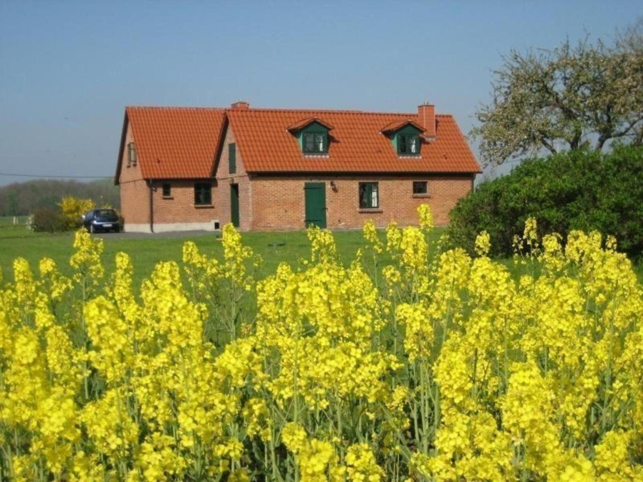 Ferienhaus Kranich In Ummanz Lüßvitz