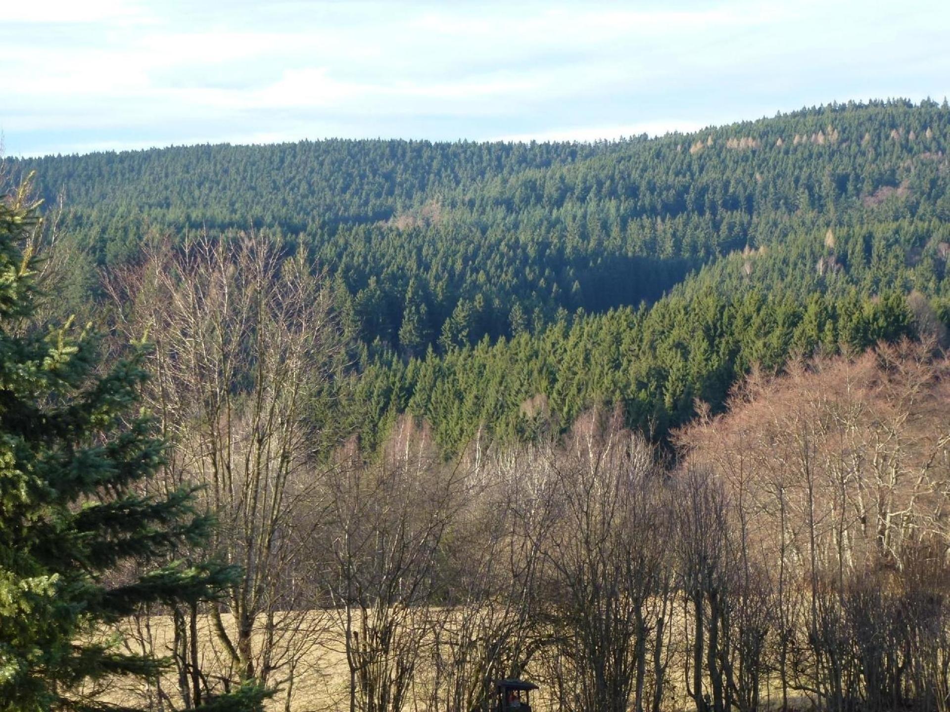 Hochwertig ausgestattete Ferienwohnung mit Balkon in ruhiger Lage