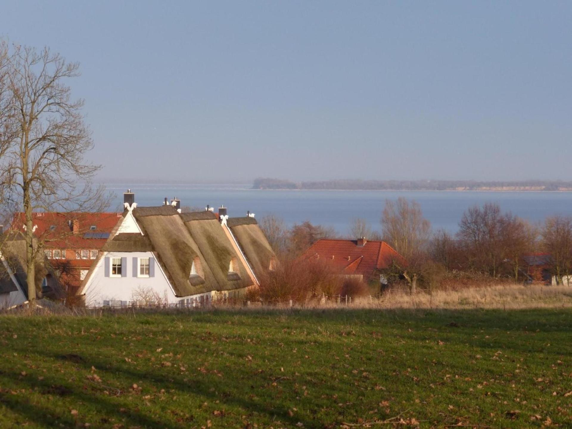 Wohnung in Wohlenberg mit Garten und Terrasse