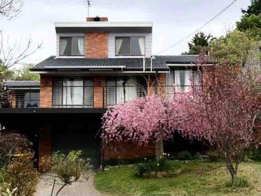 Hotel Blue Mountains Charm With Spa!