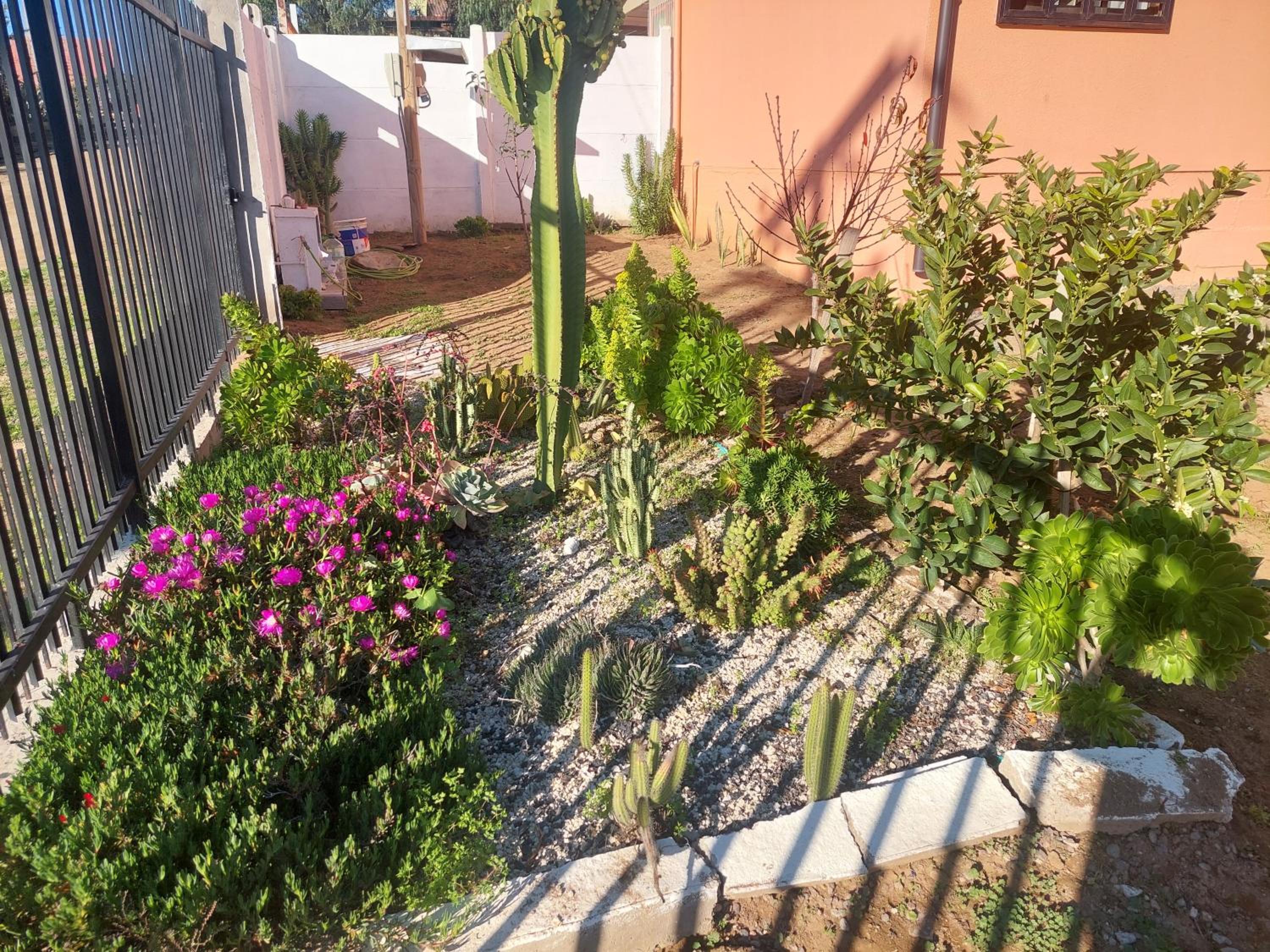 El paraíso de Guanaqueros