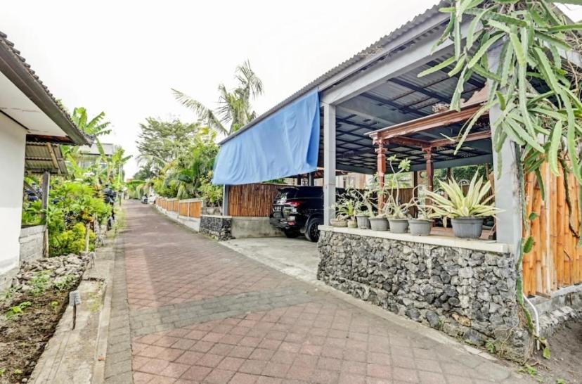 Pucuk Bali Guest House Canggu view 4