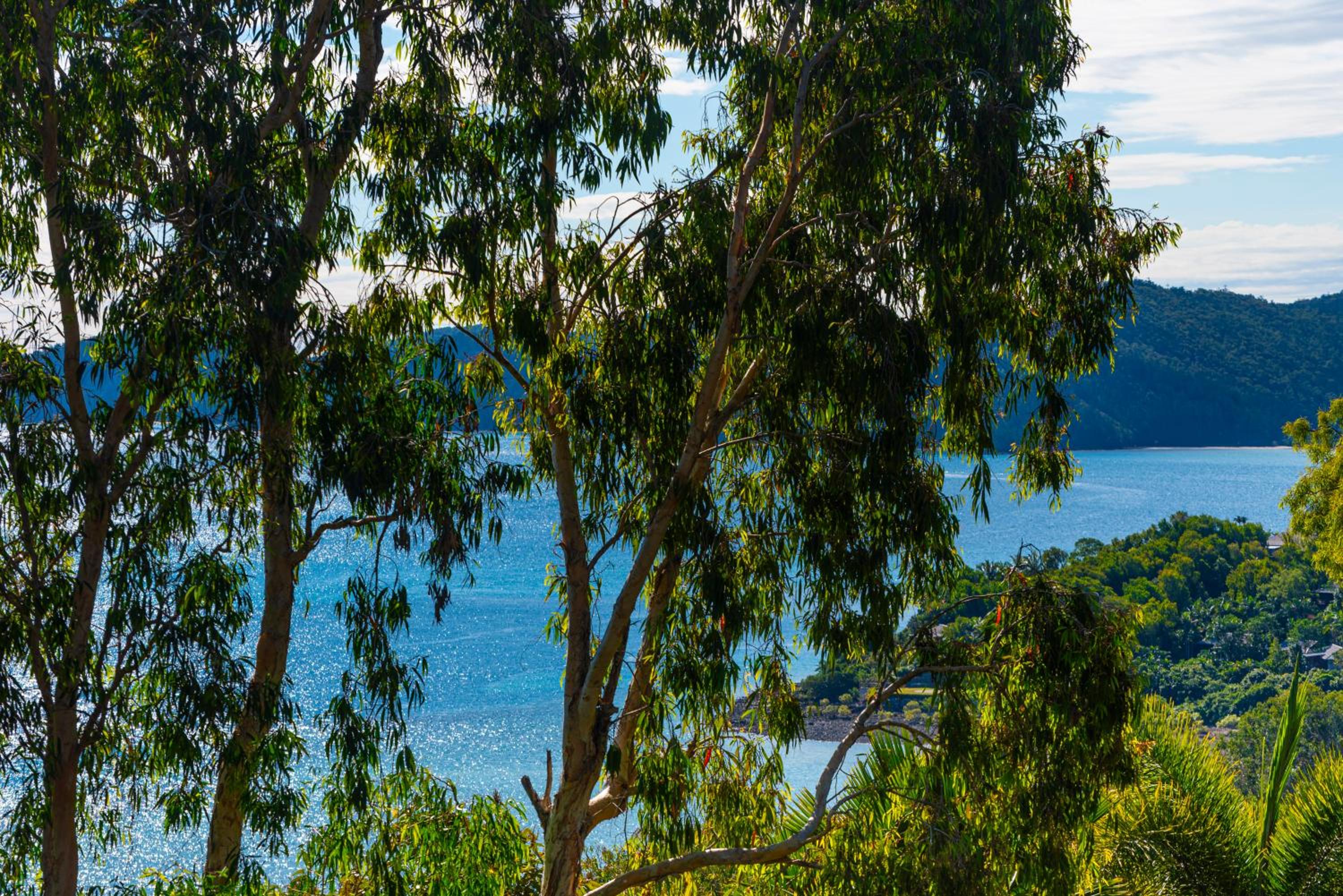 Sunset Waters 2 by HamoRent on Hamilton Island