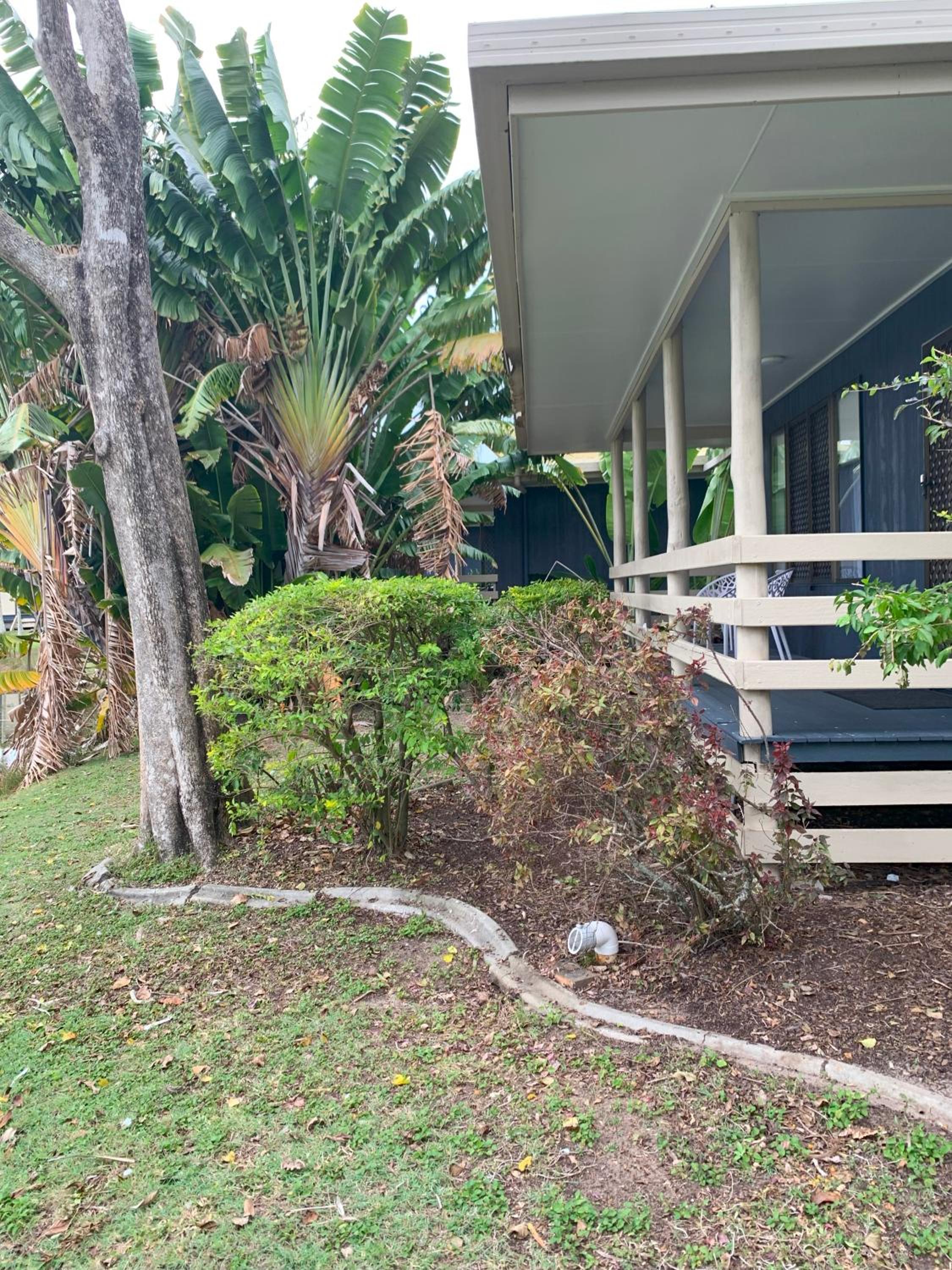 Whale's Tail Cabin at Hervey Bay