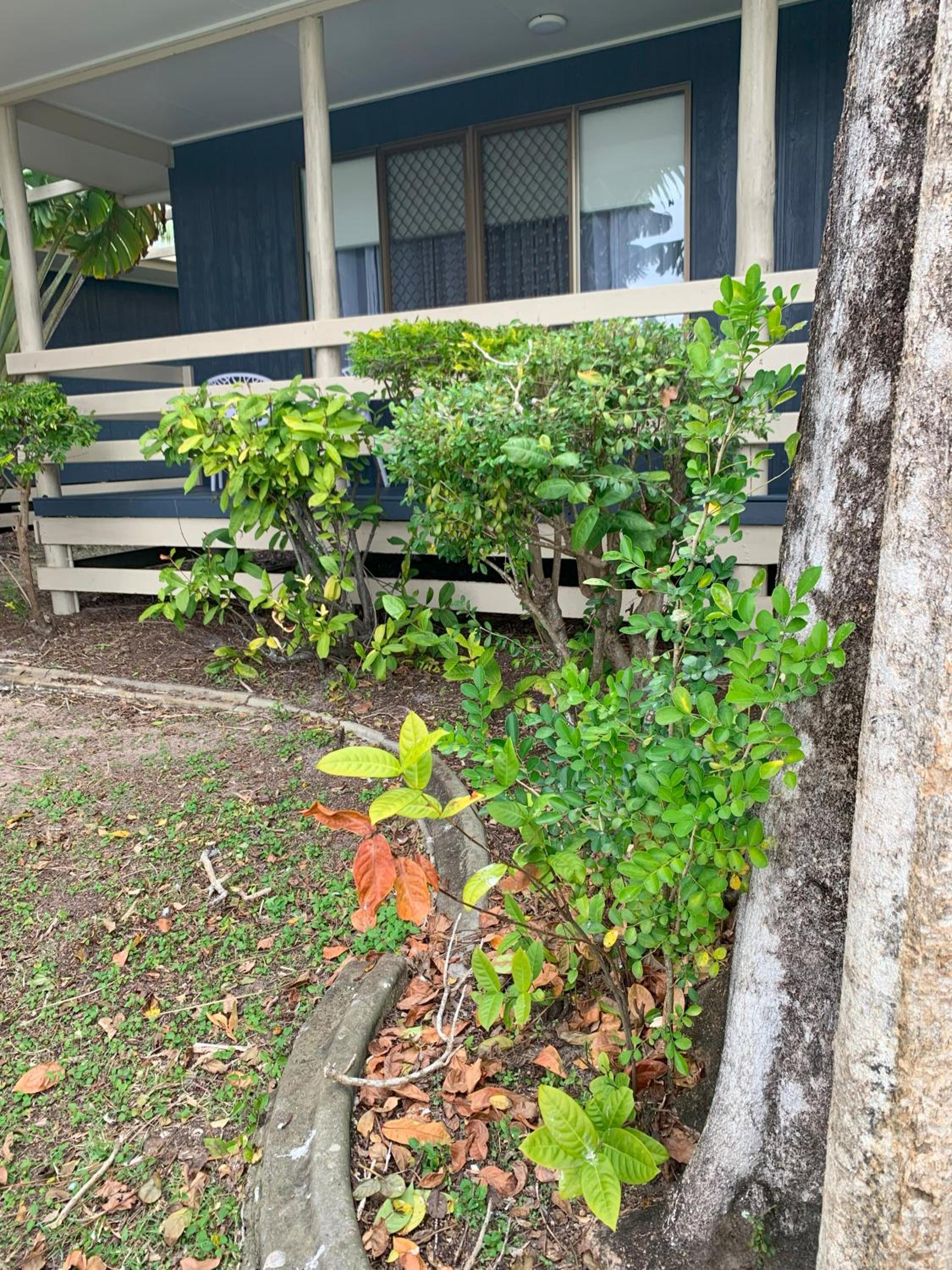 Whale's Tail Cabin at Hervey Bay