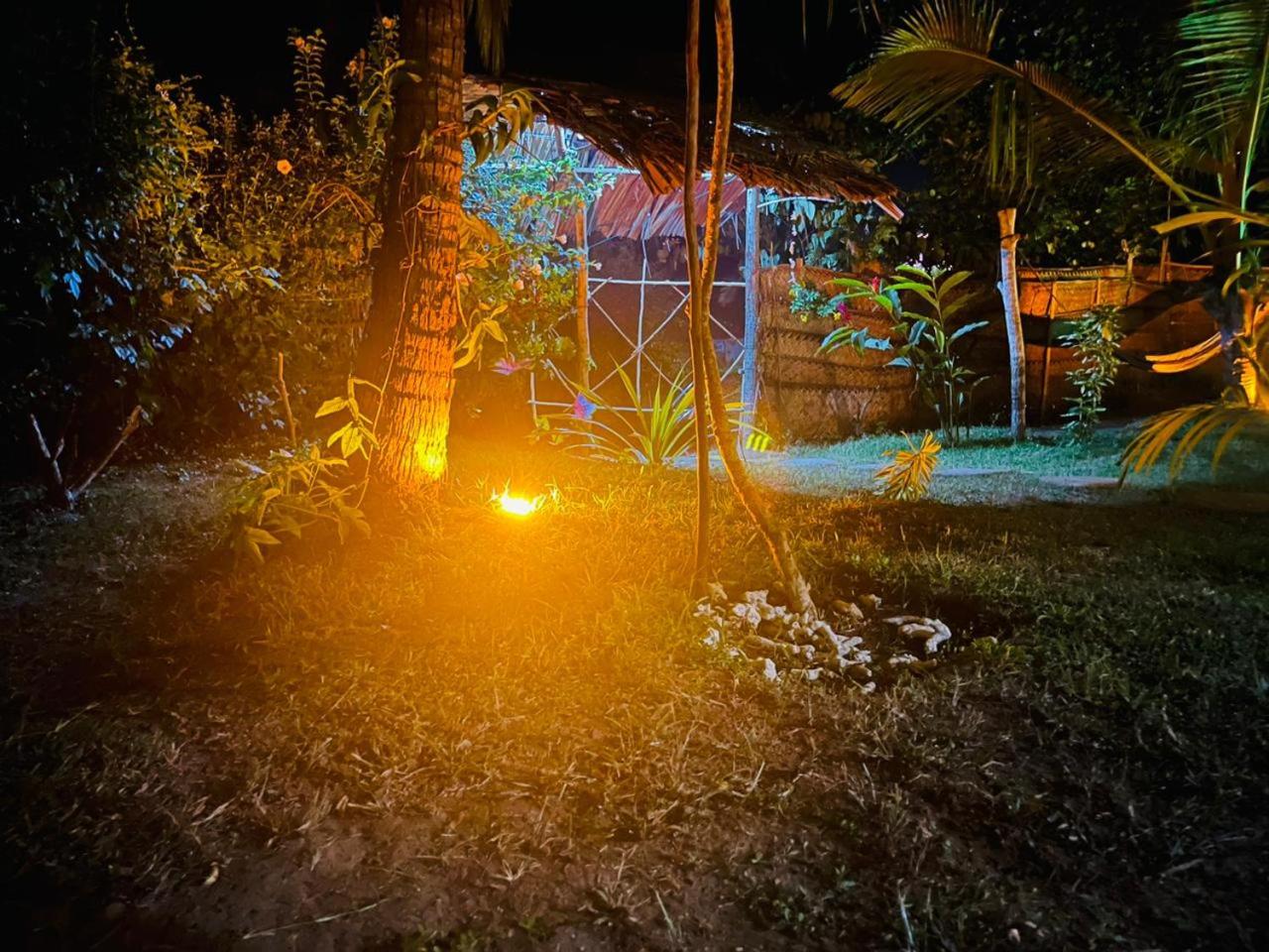 Photo 18