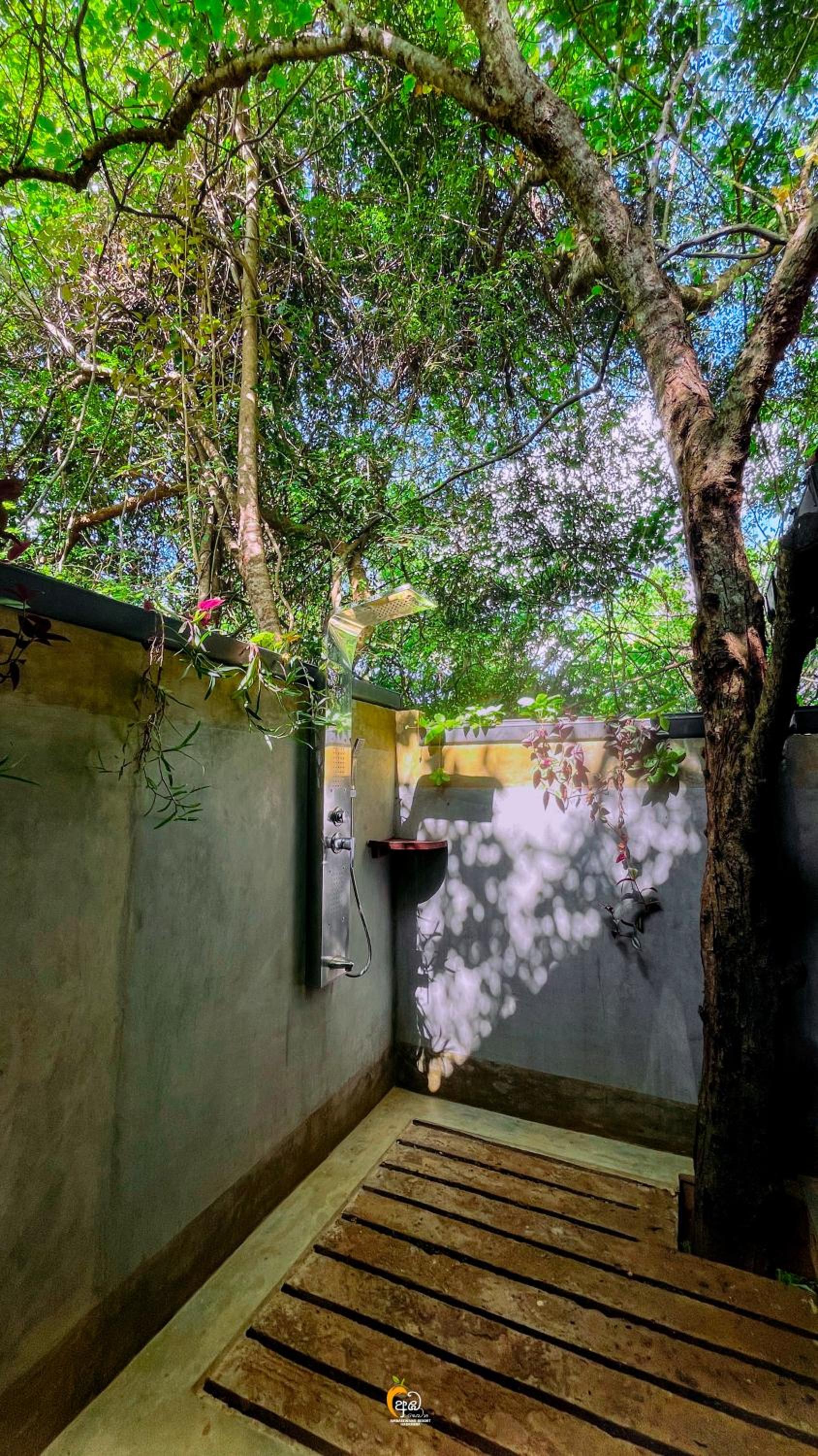 Habarana Tree House Ambasewana Resort