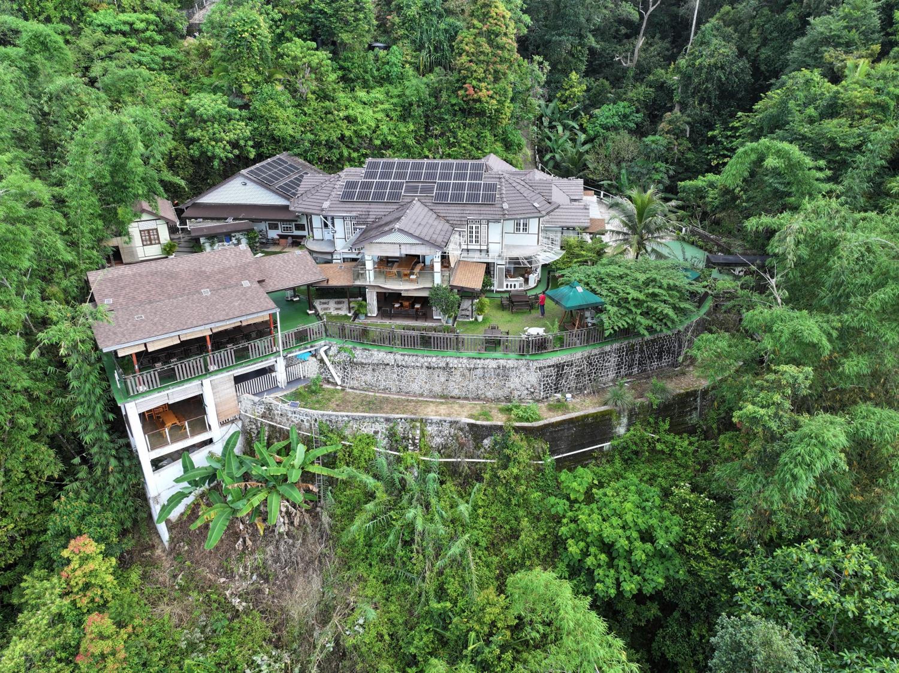 Hickory Penang Hill photo 1