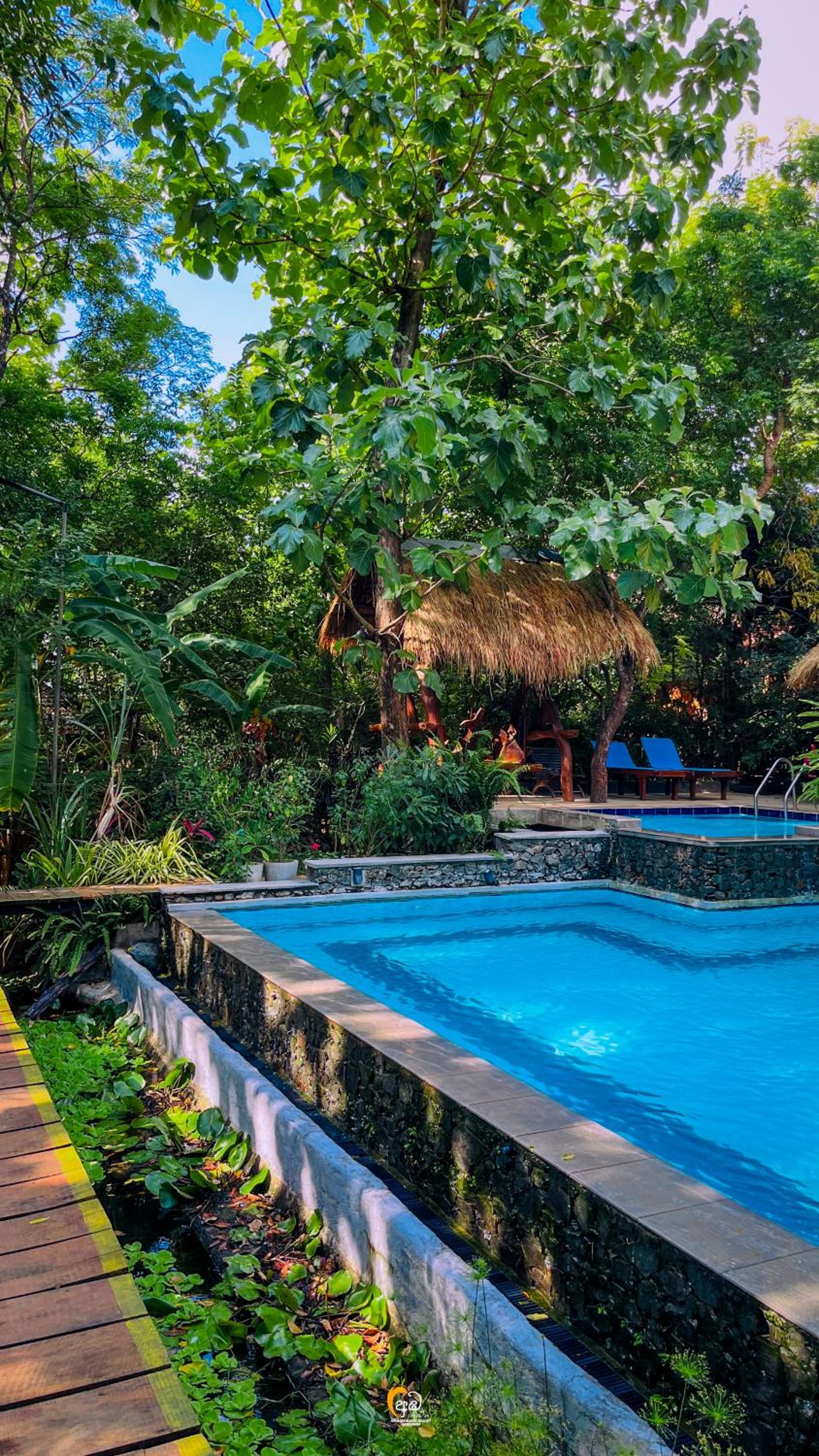 Habarana Tree House Ambasewana Resort