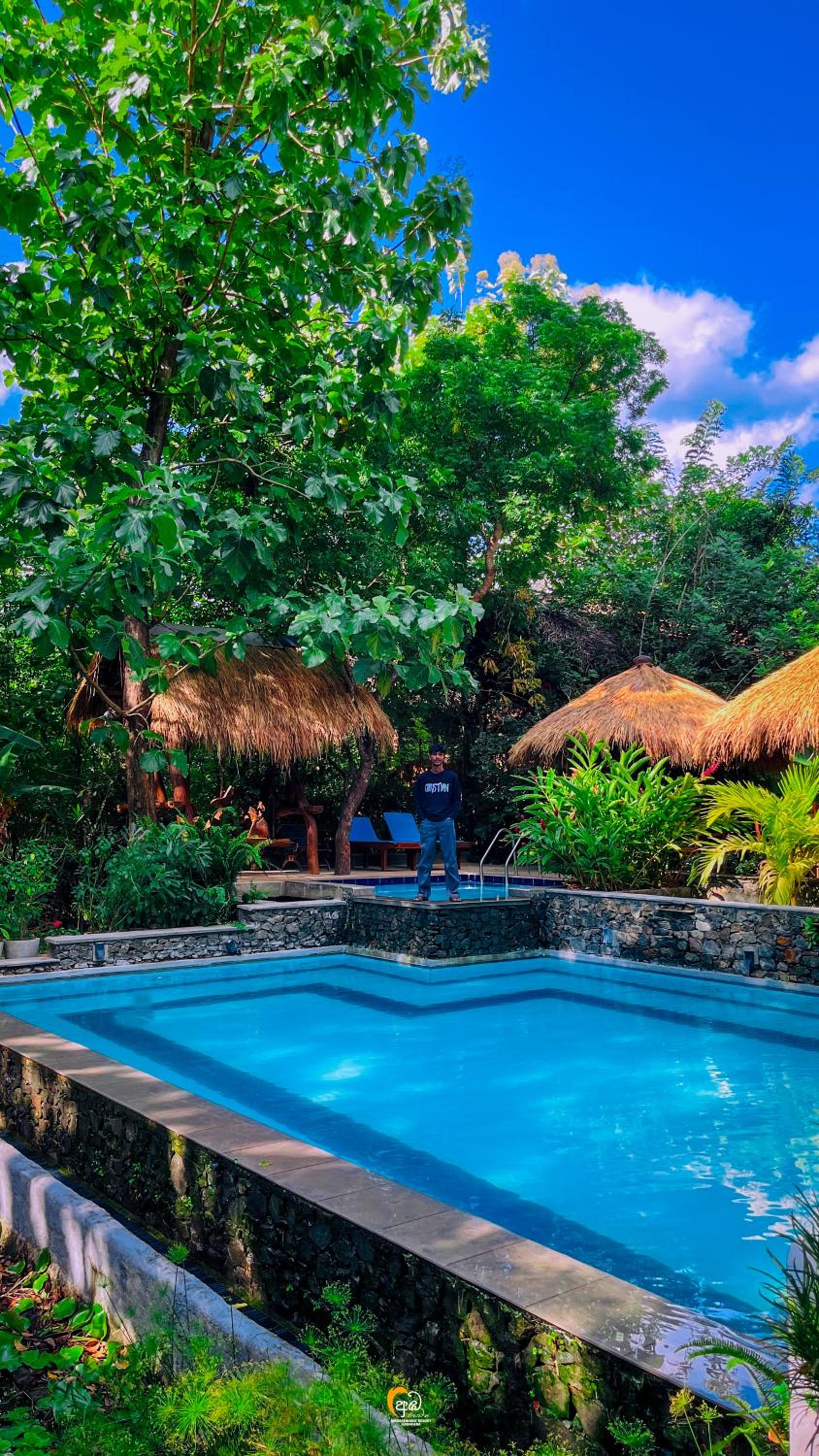 Habarana Tree House Ambasewana Resort