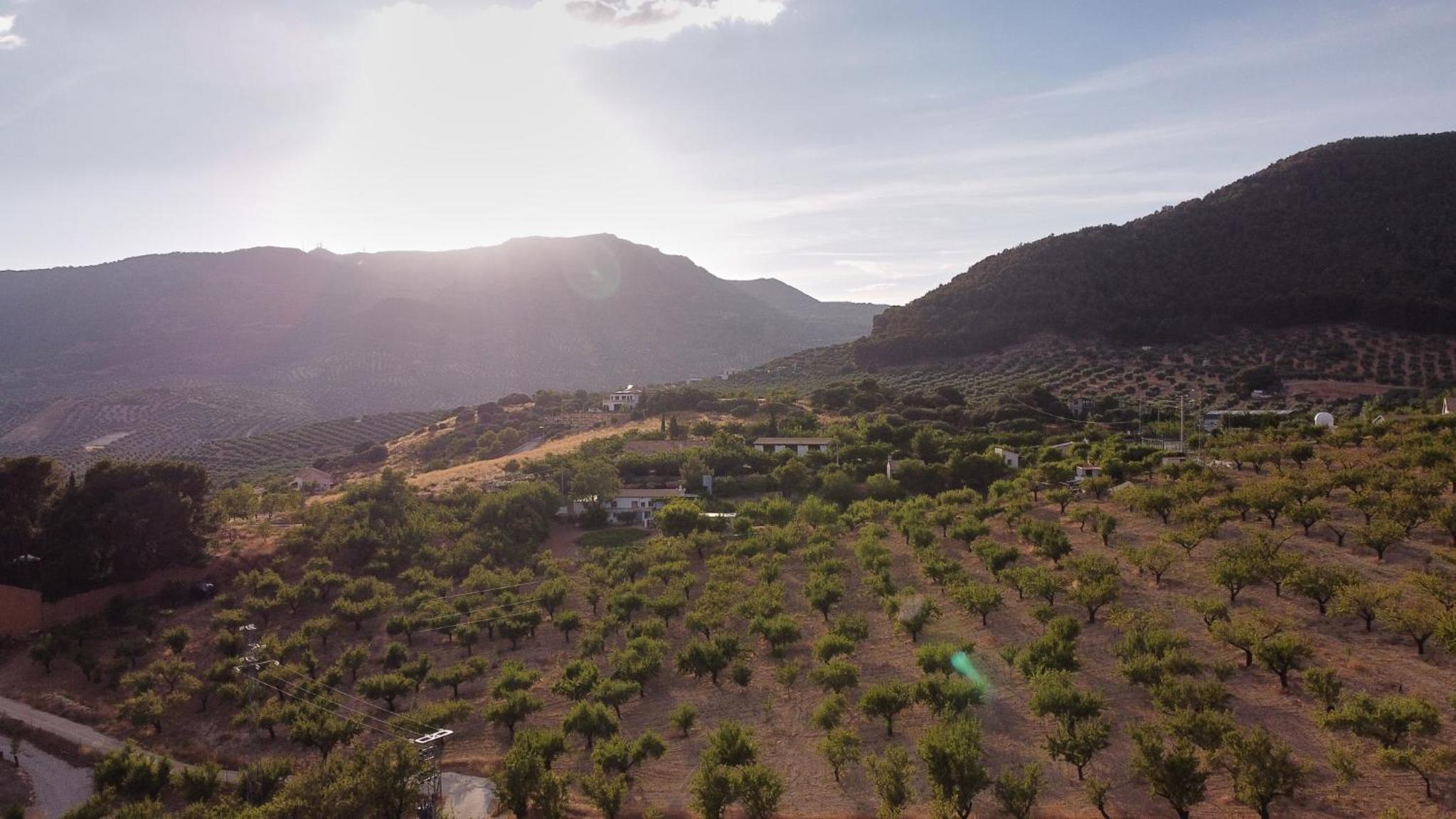 Villa Canela