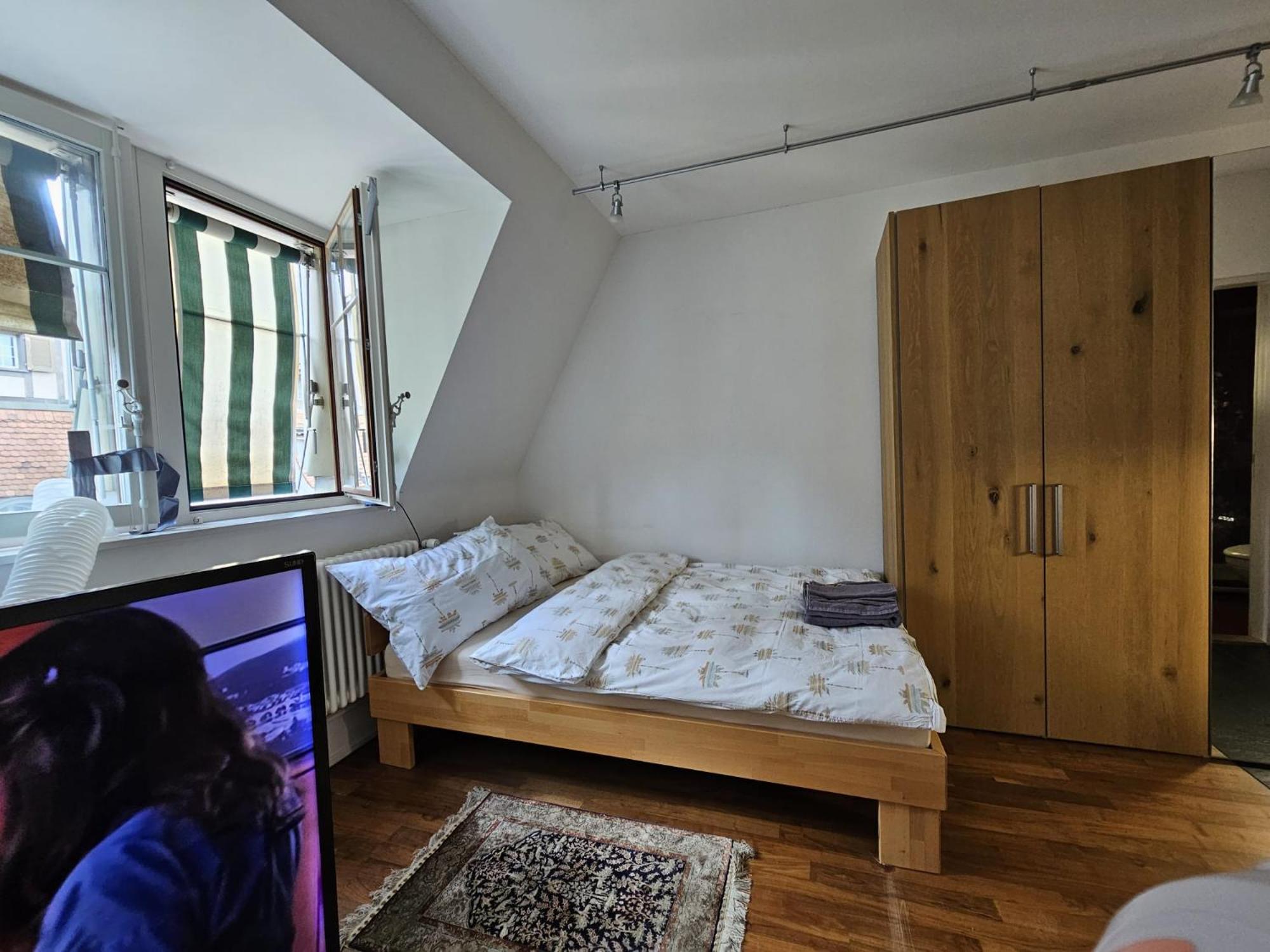 Double High-End Central Apartment & Up to 7 seats Cars Rental Option