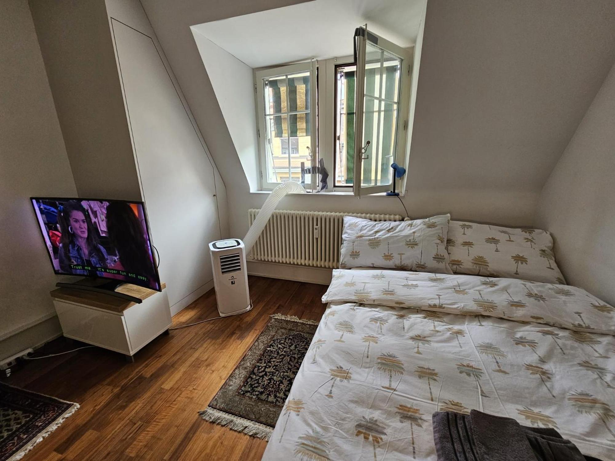 Double High-End Central Apartment & Up to 7 seats Cars Rental Option