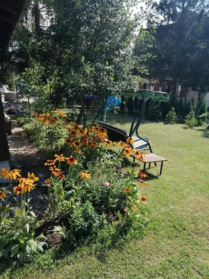 Photo 12
