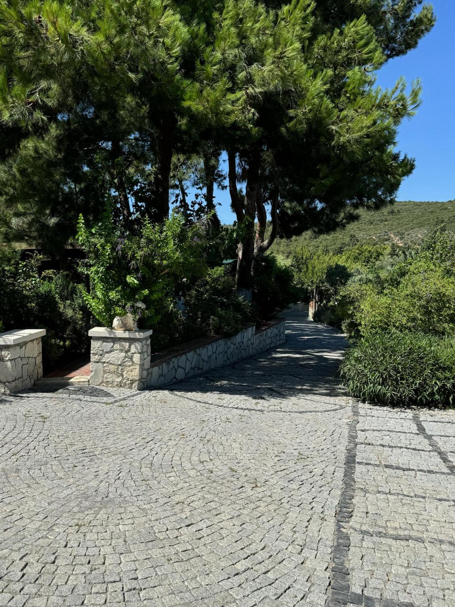 Photo 46
