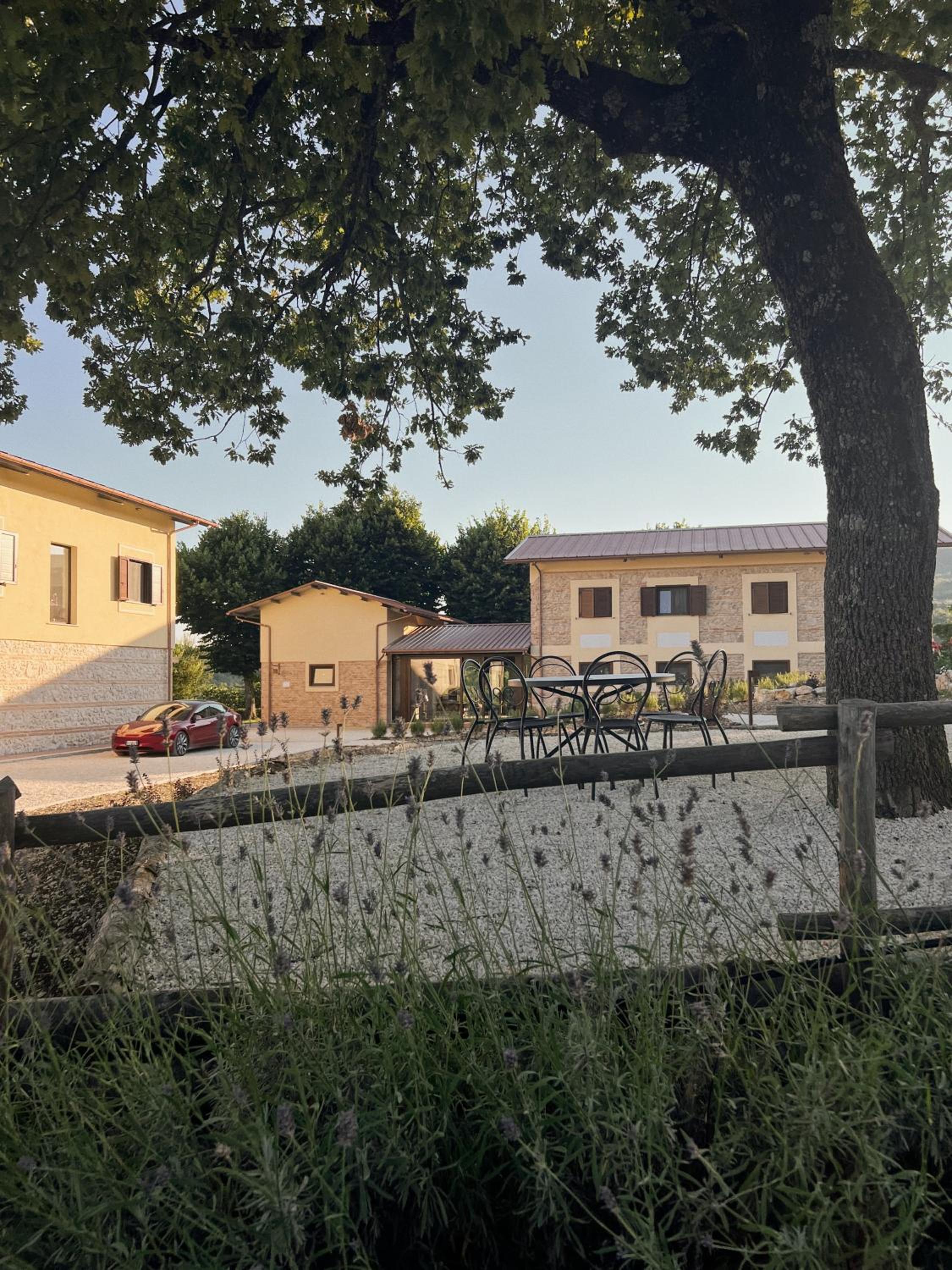 Photo 41