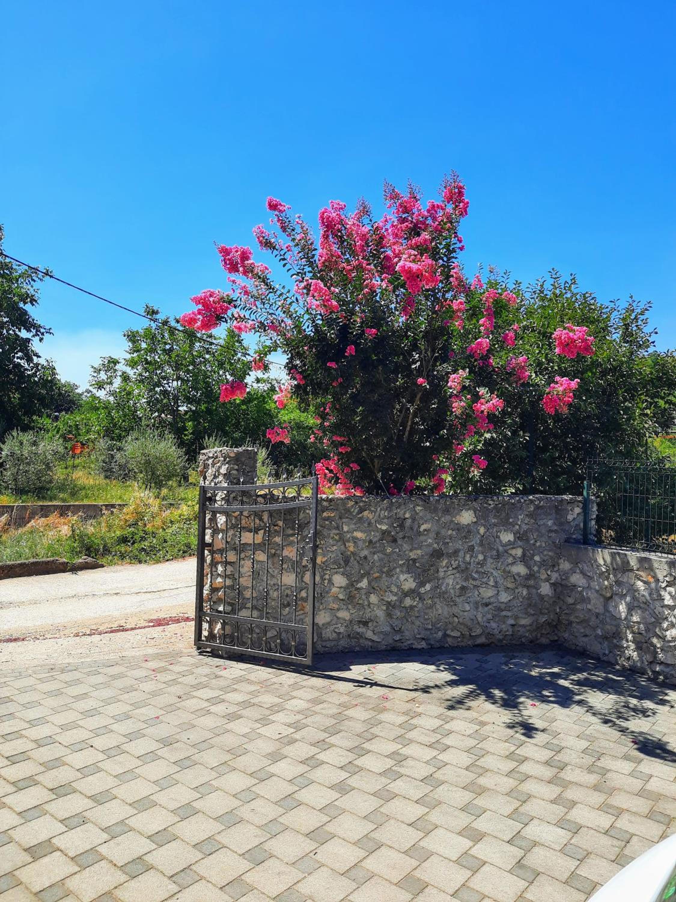 Apartmani Neda