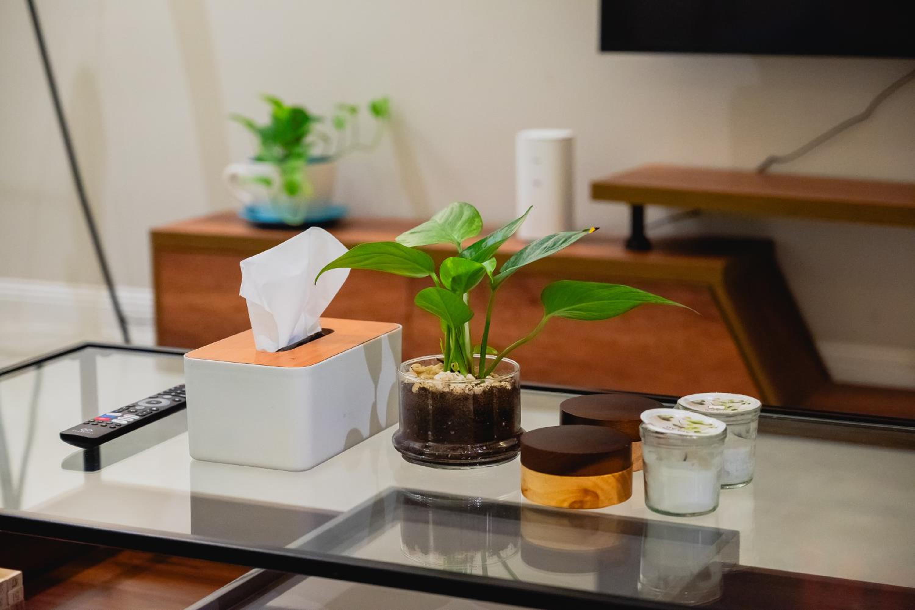 MA Apartment's