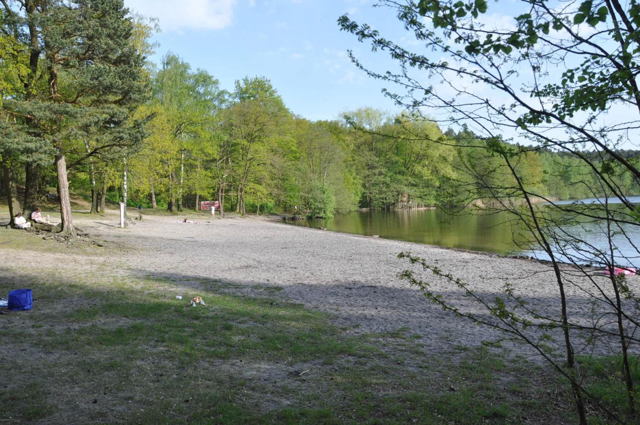 Reetgedecktes Ferienhaus am Strandweg in Lütjensee
