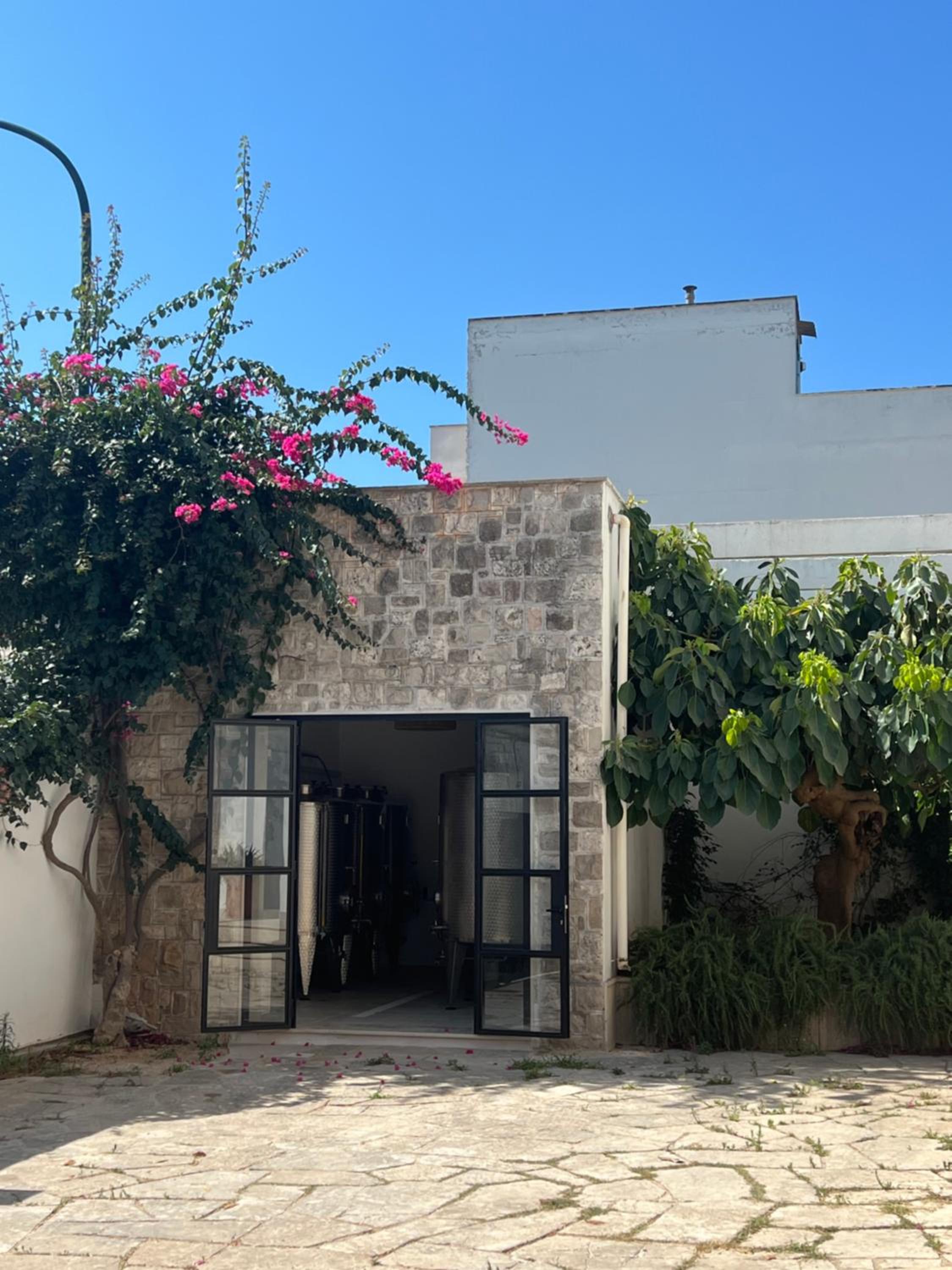 Canneddi Boutique Farm photo 4