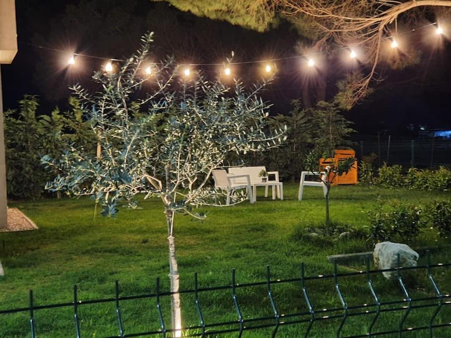 Holidays to remember-Sea Lovers Villa