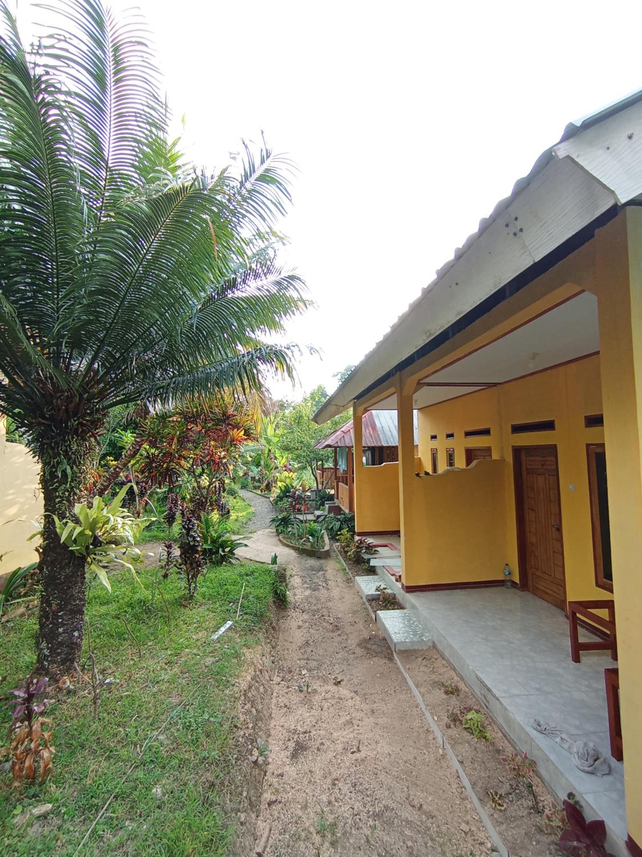 Gunung baru homestay