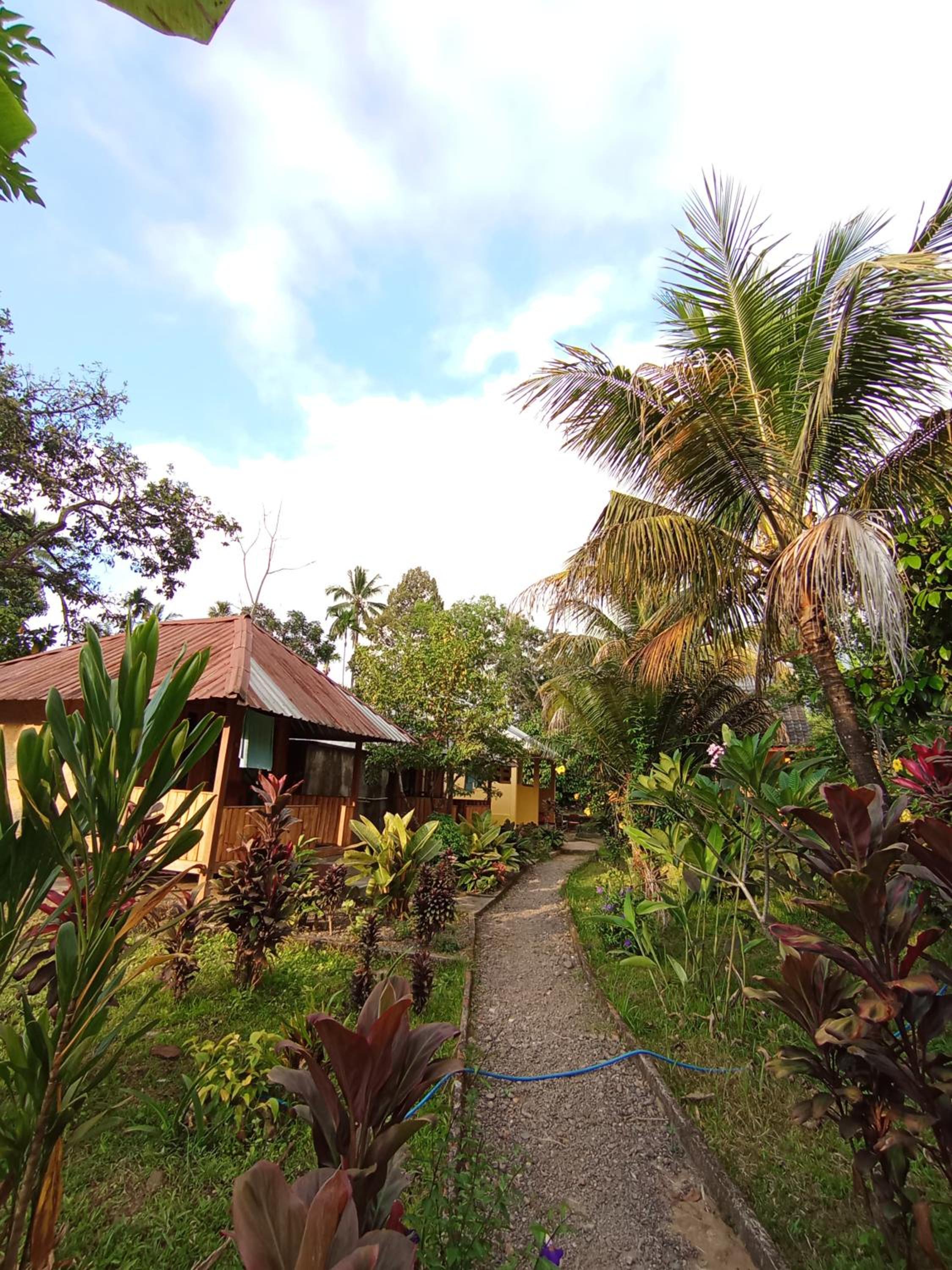 Gunung baru homestay