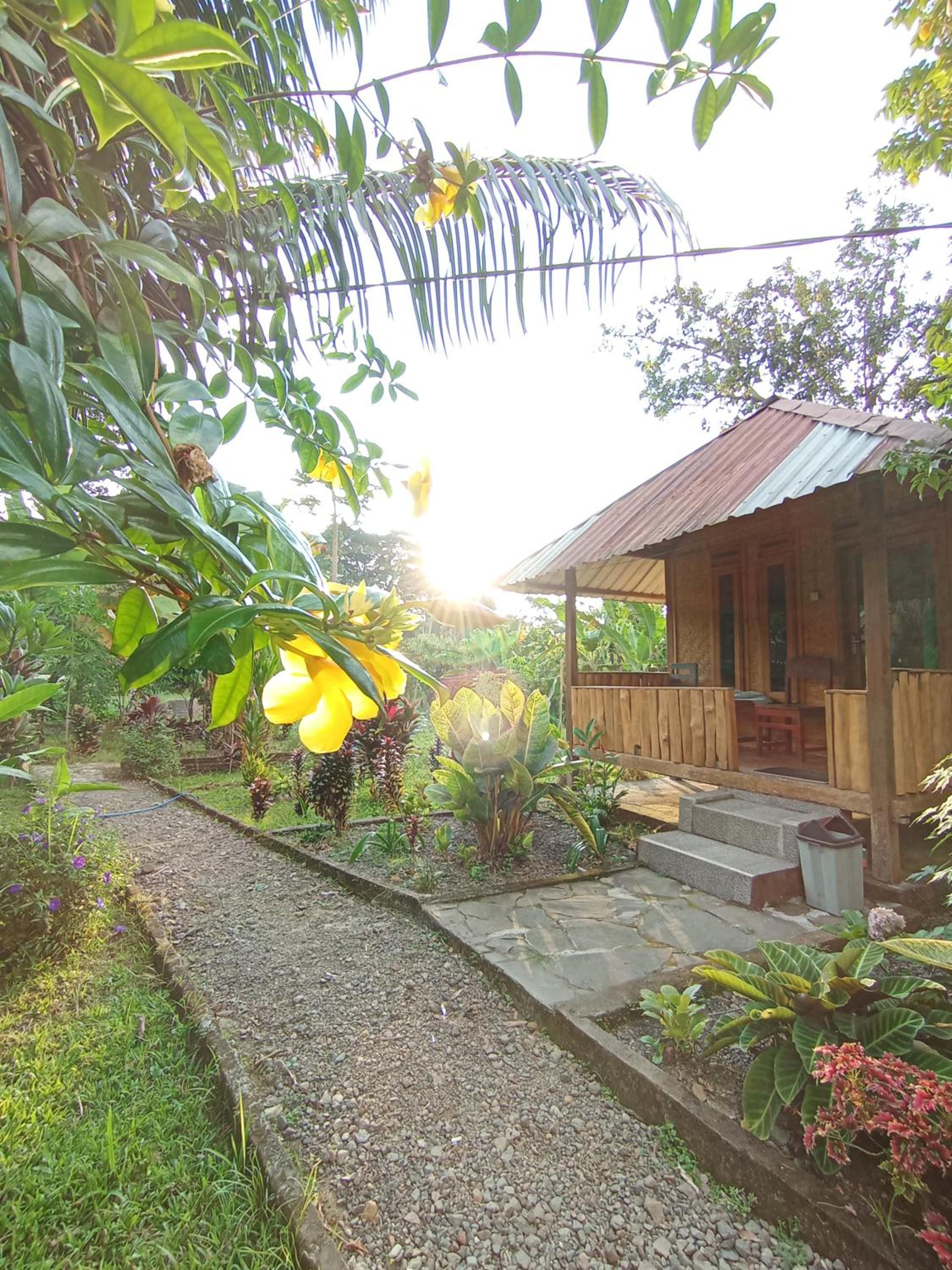 Gunung baru homestay