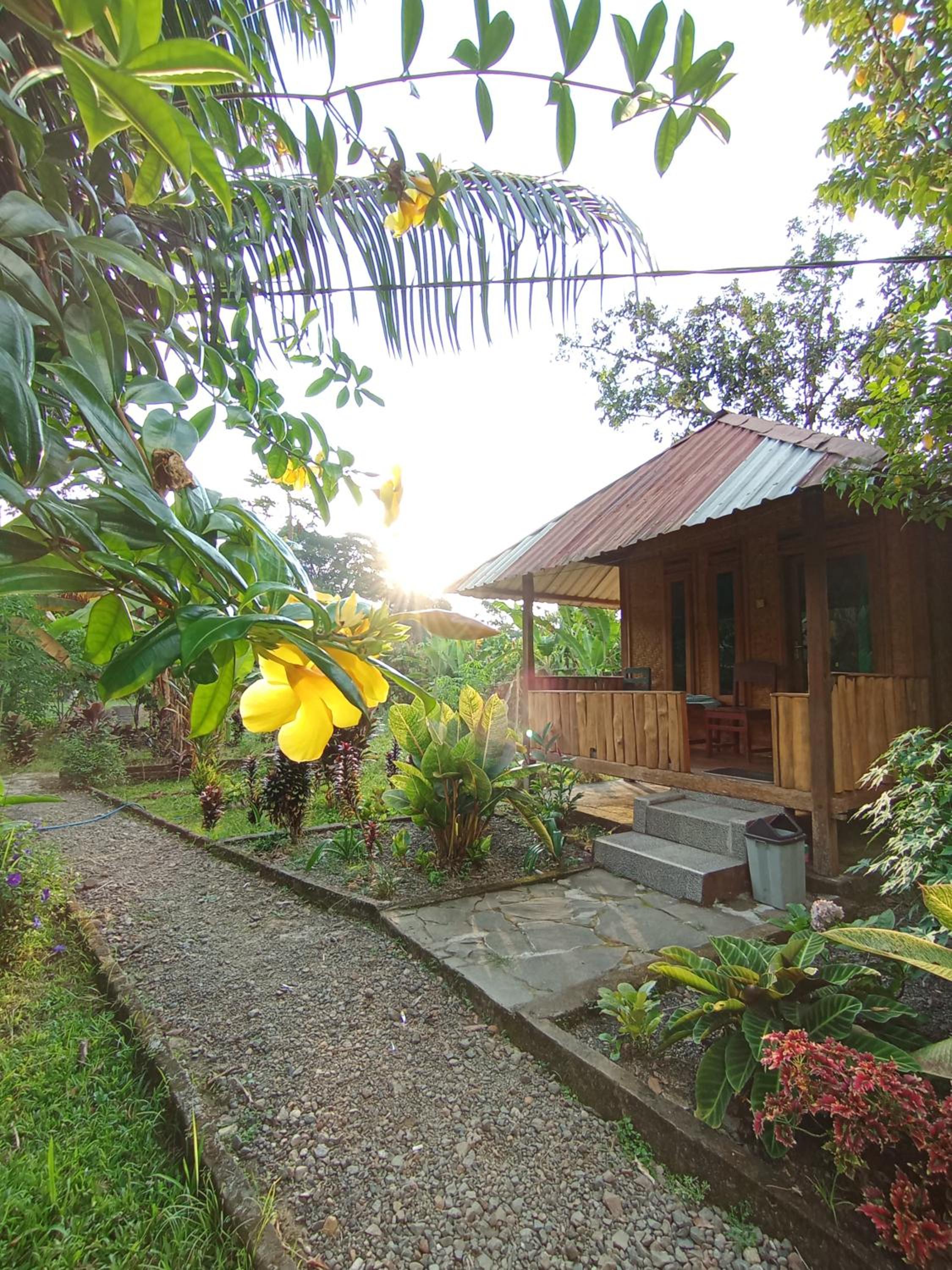 Gunung baru homestay