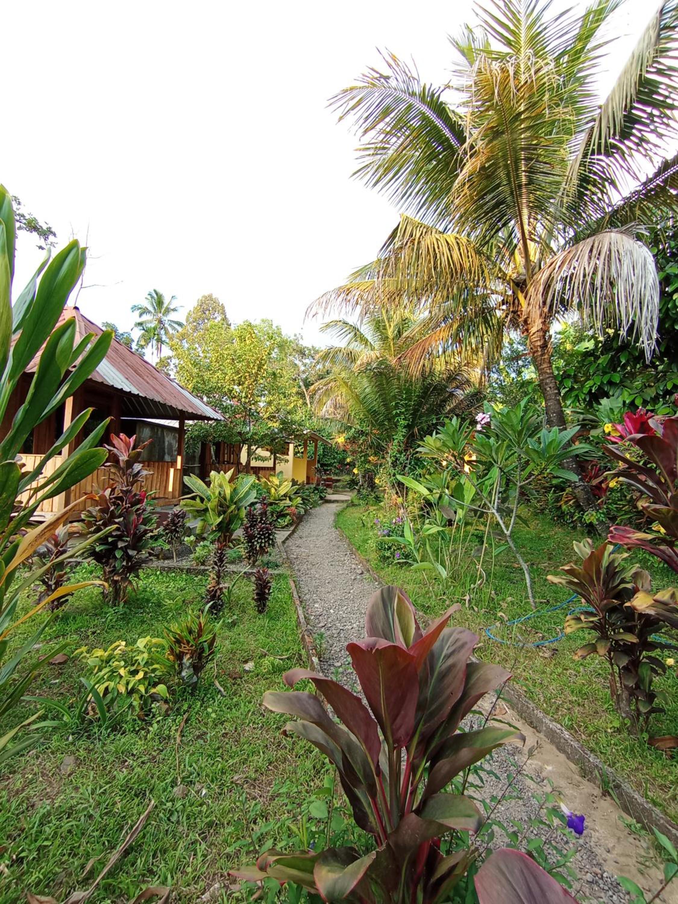 Gunung baru homestay
