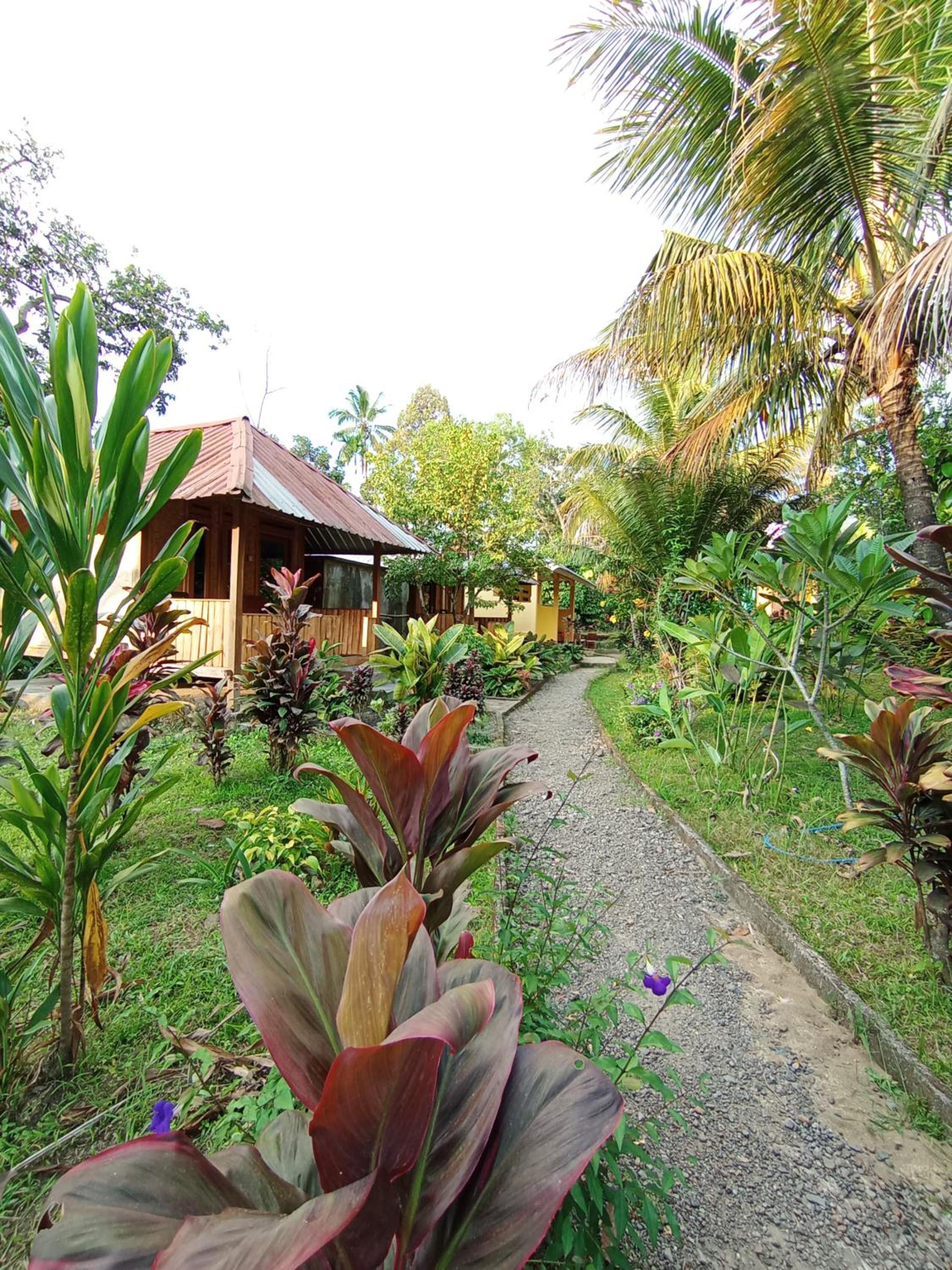 Gunung baru homestay