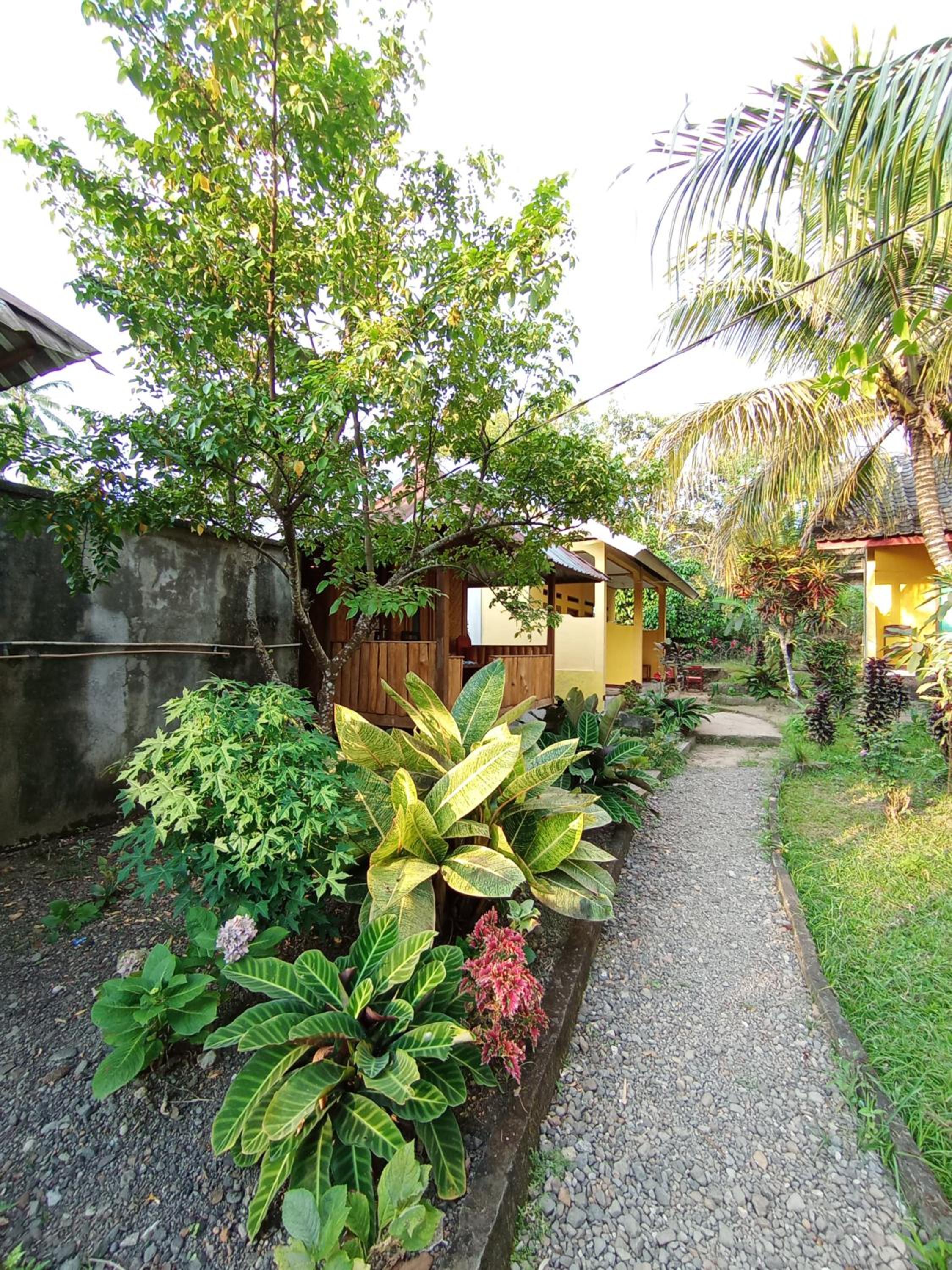 Gunung baru homestay