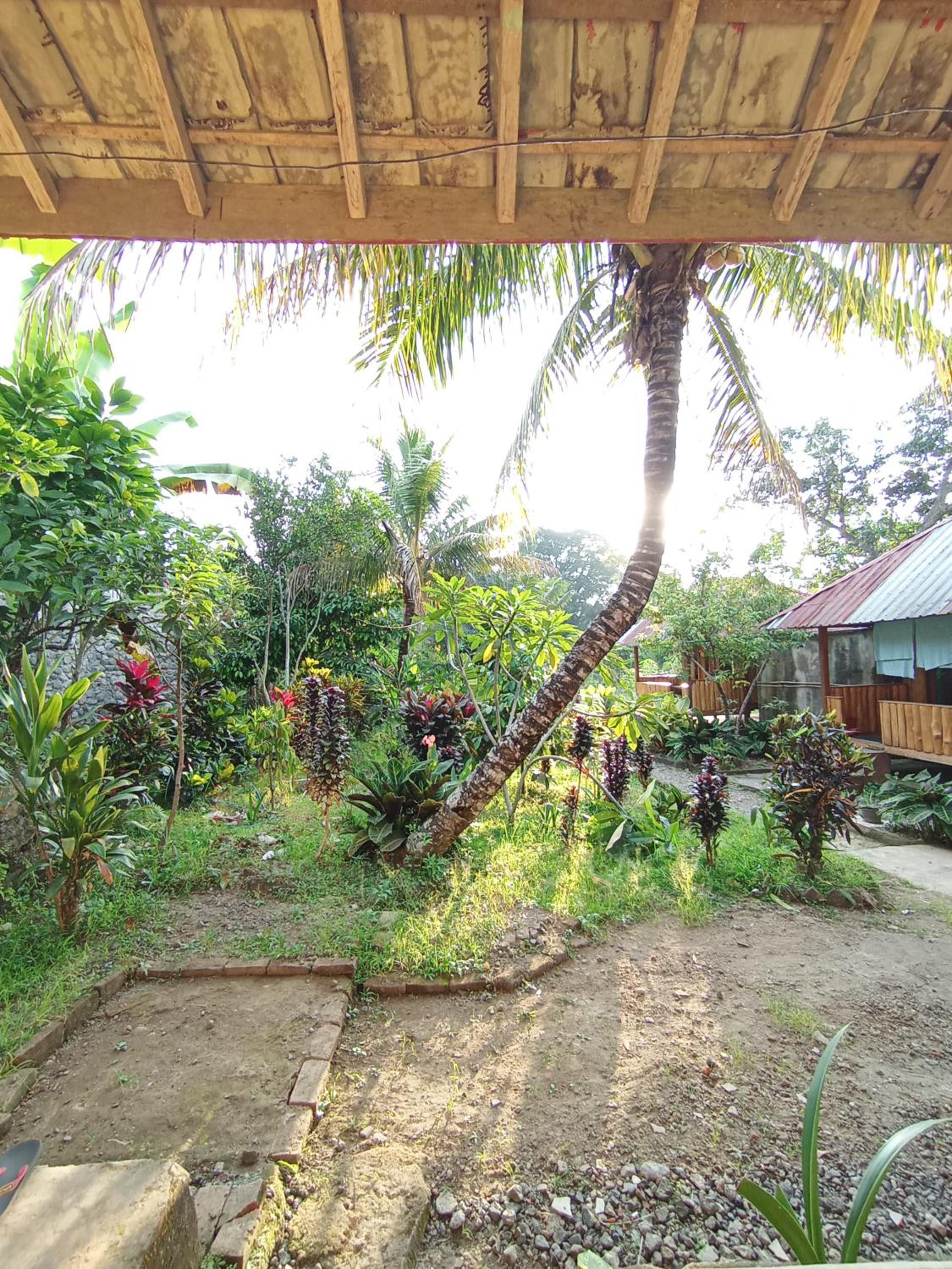 Gunung baru homestay
