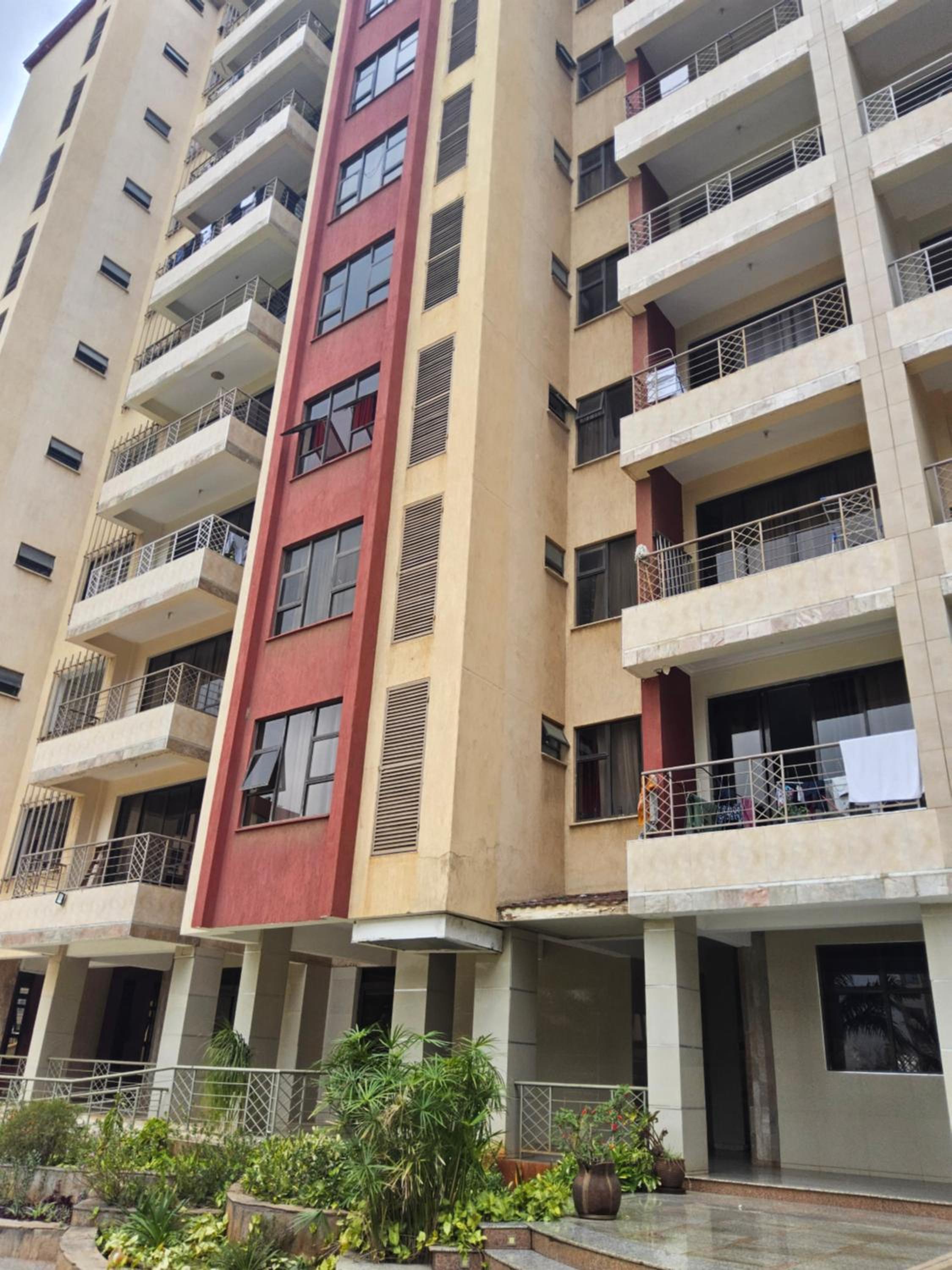 Jsons Nextgen suites