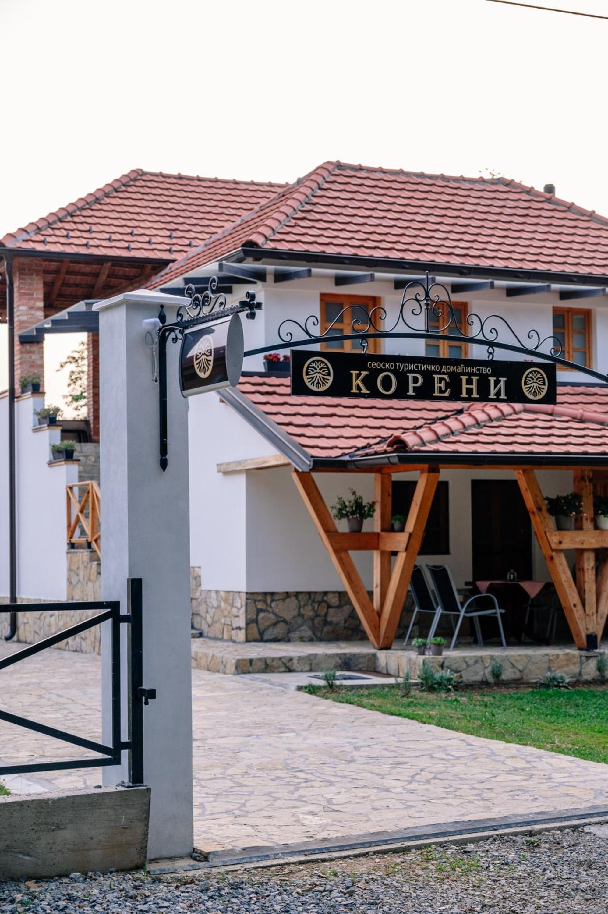STD Koreni