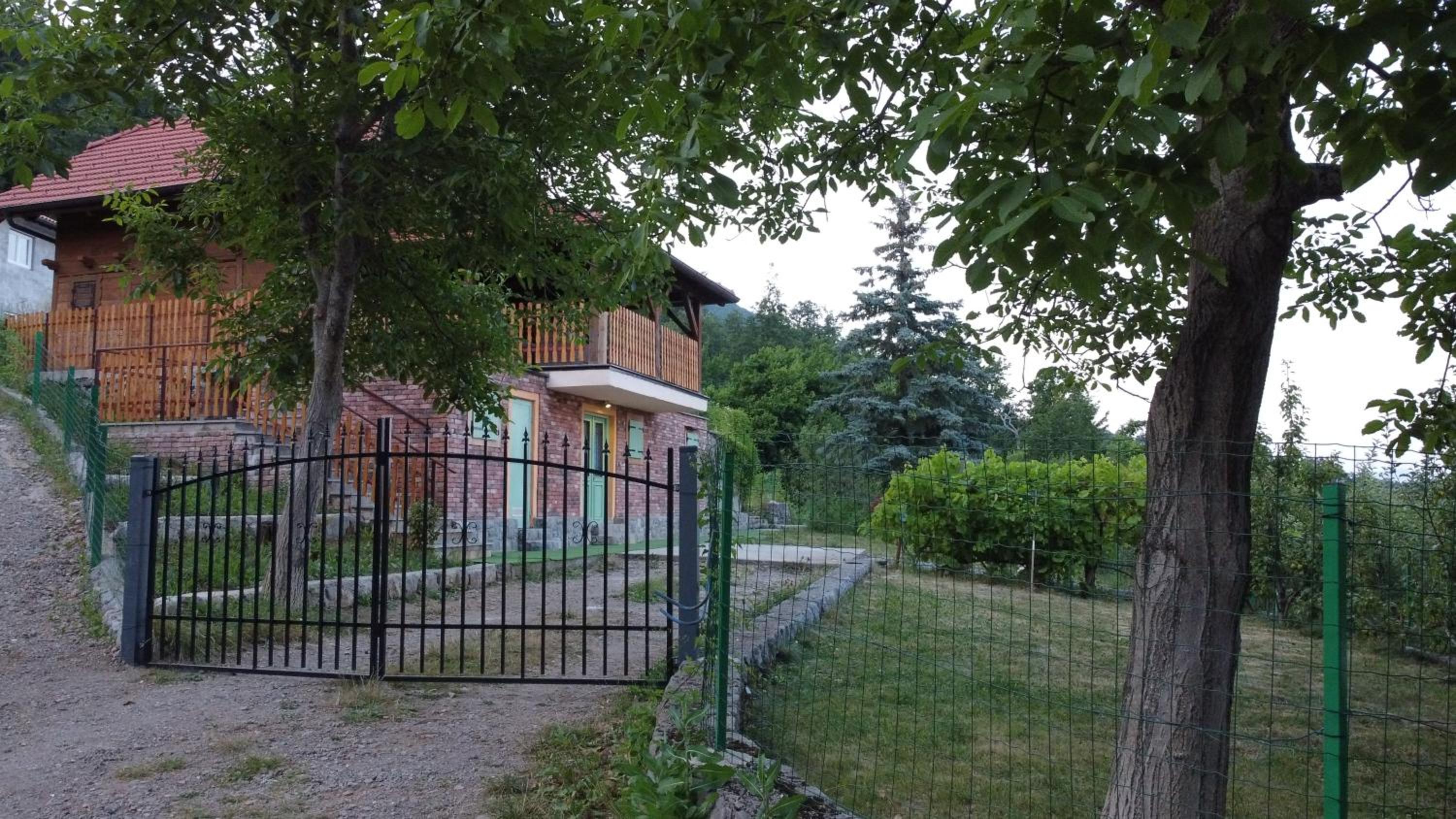 Photo 21