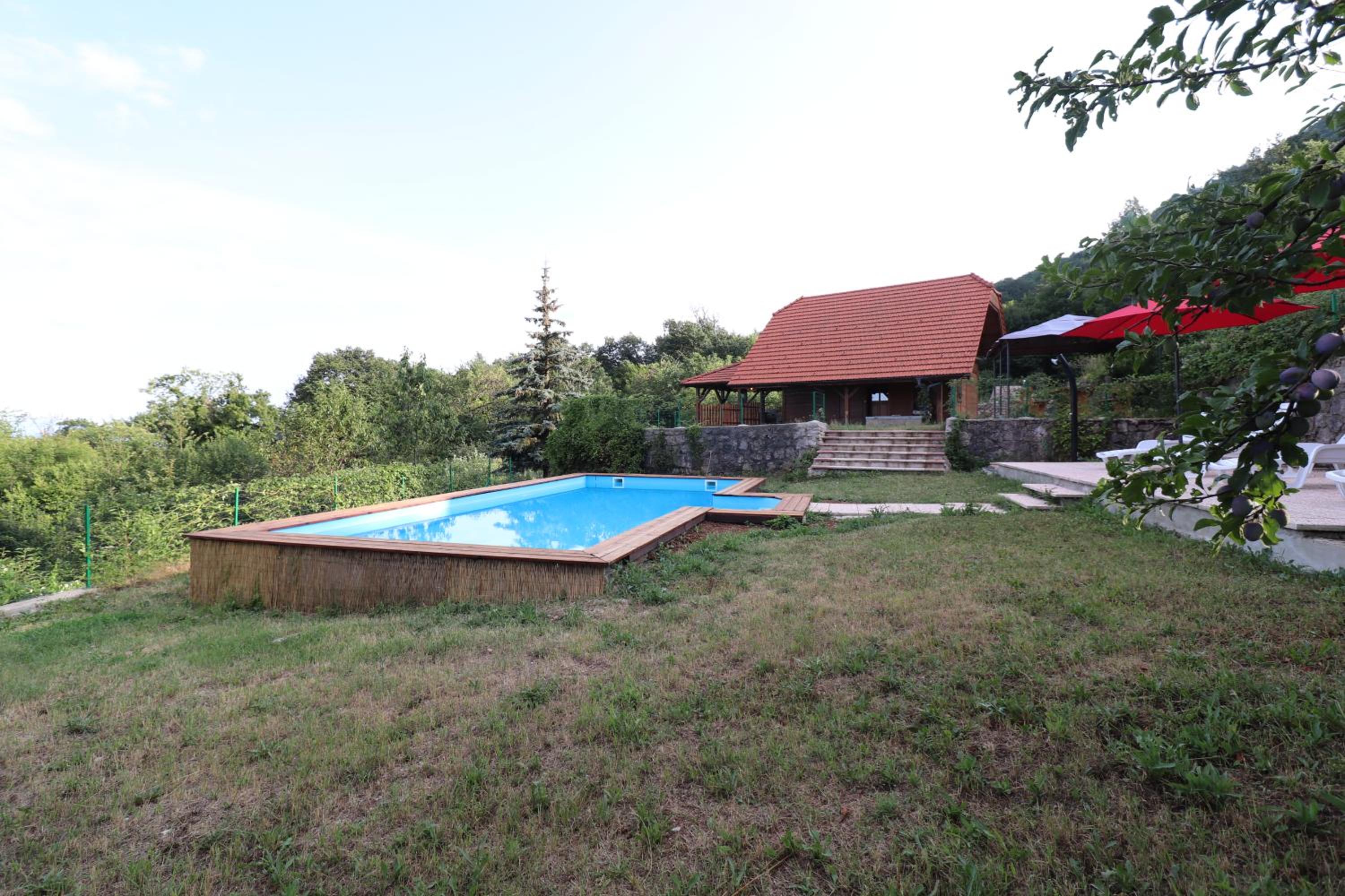 Villa Felix with spectacular pool in green oasis view 3