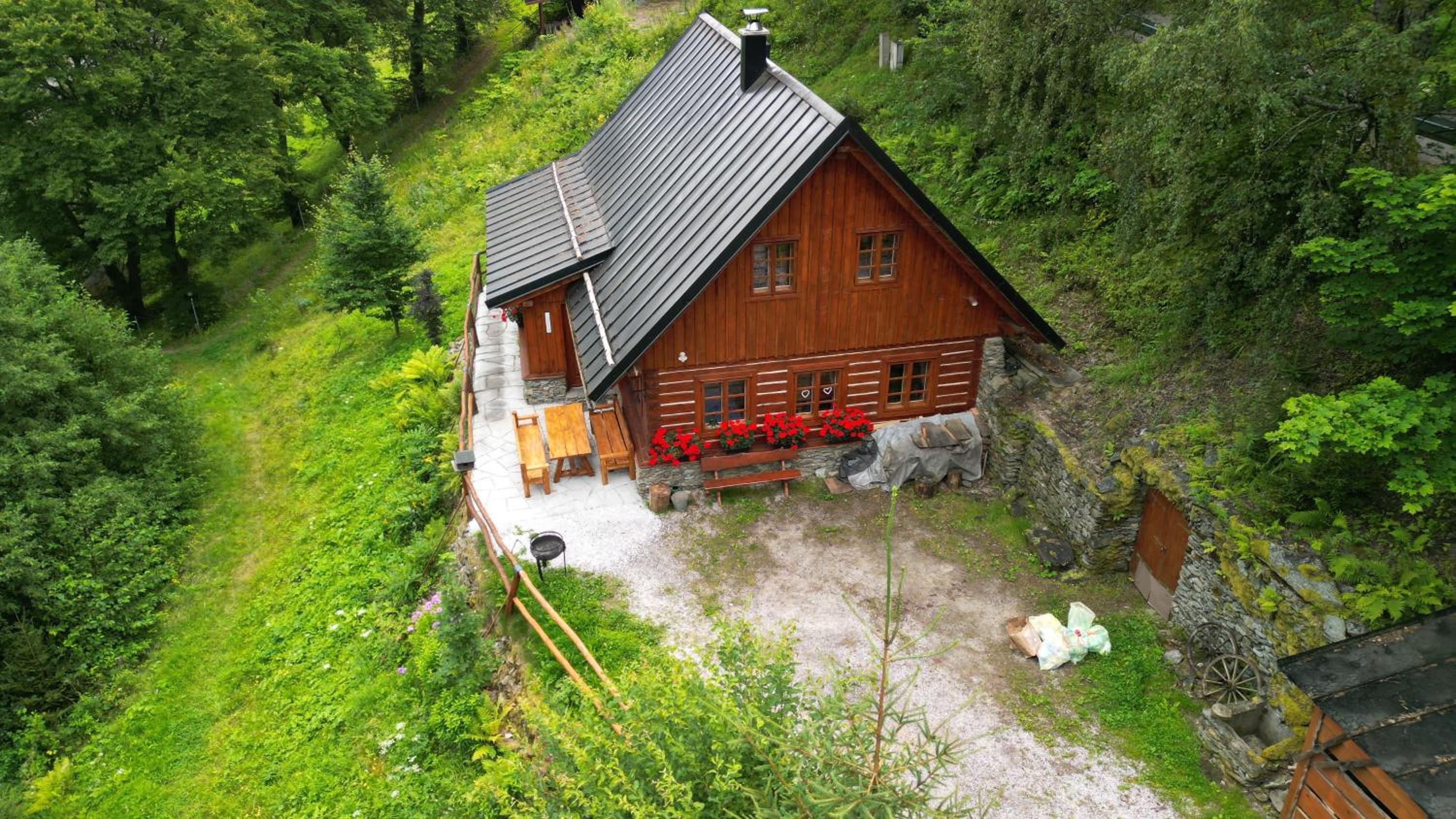 Photo 12