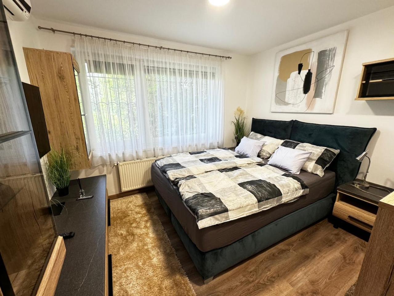SZE Business Apartman view 4